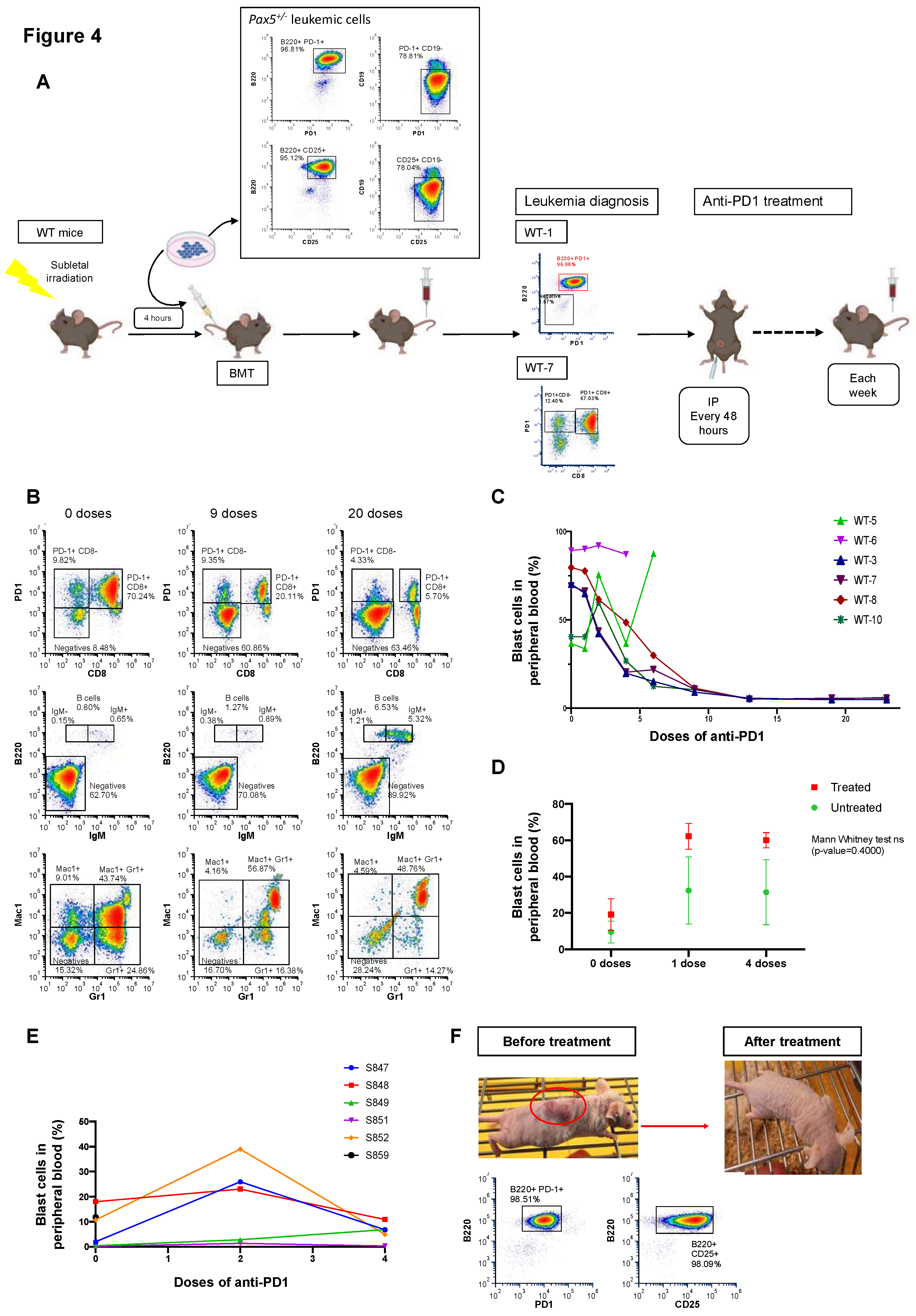 Preprints 158381 g004