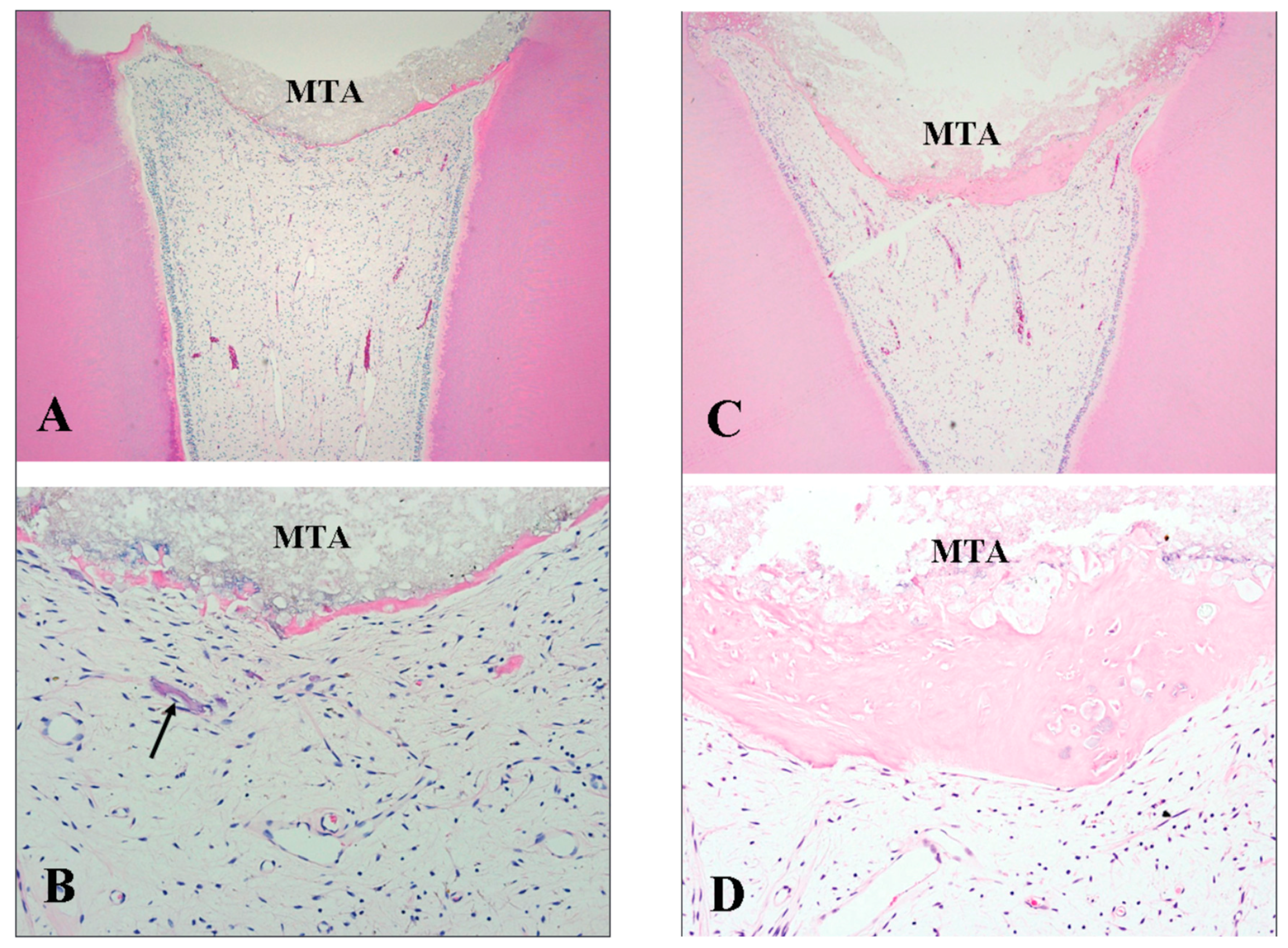 Preprints 89359 g002