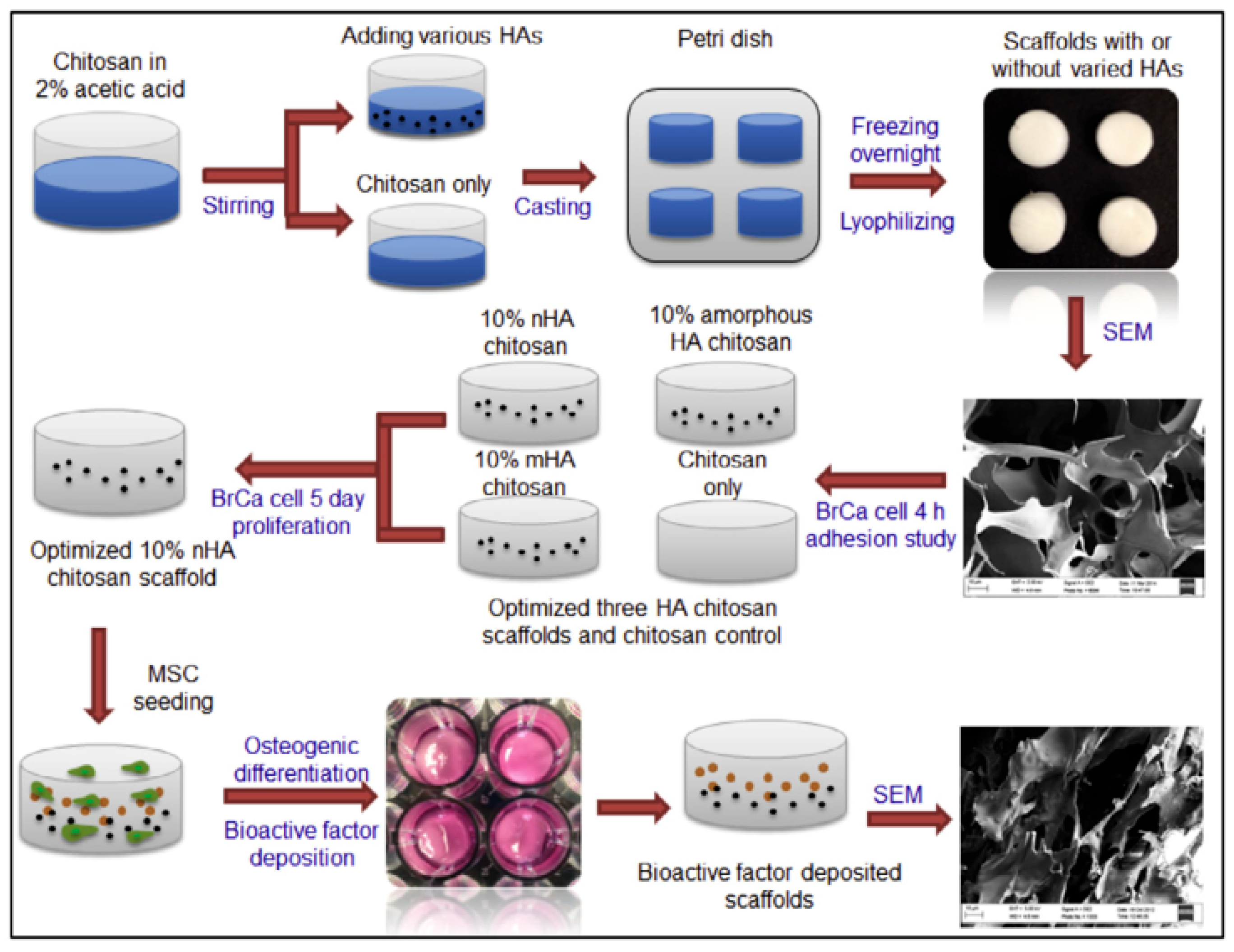 Preprints 166278 g002
