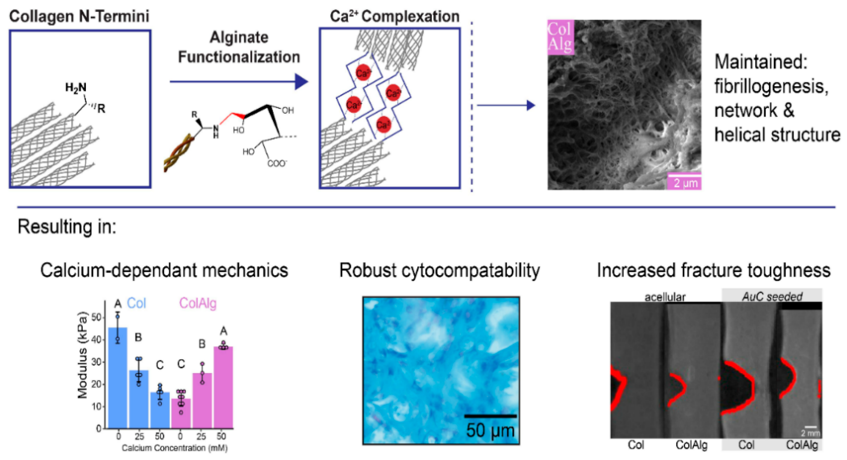 Preprints 166278 g004