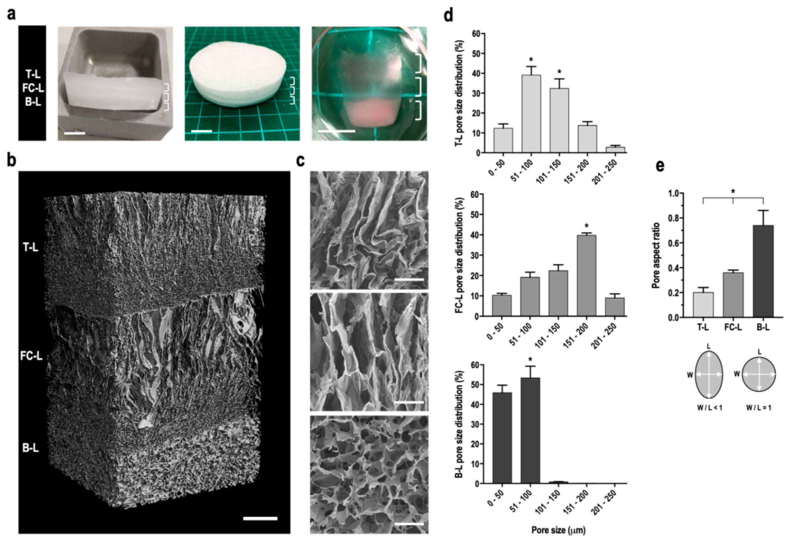 Preprints 166278 g005