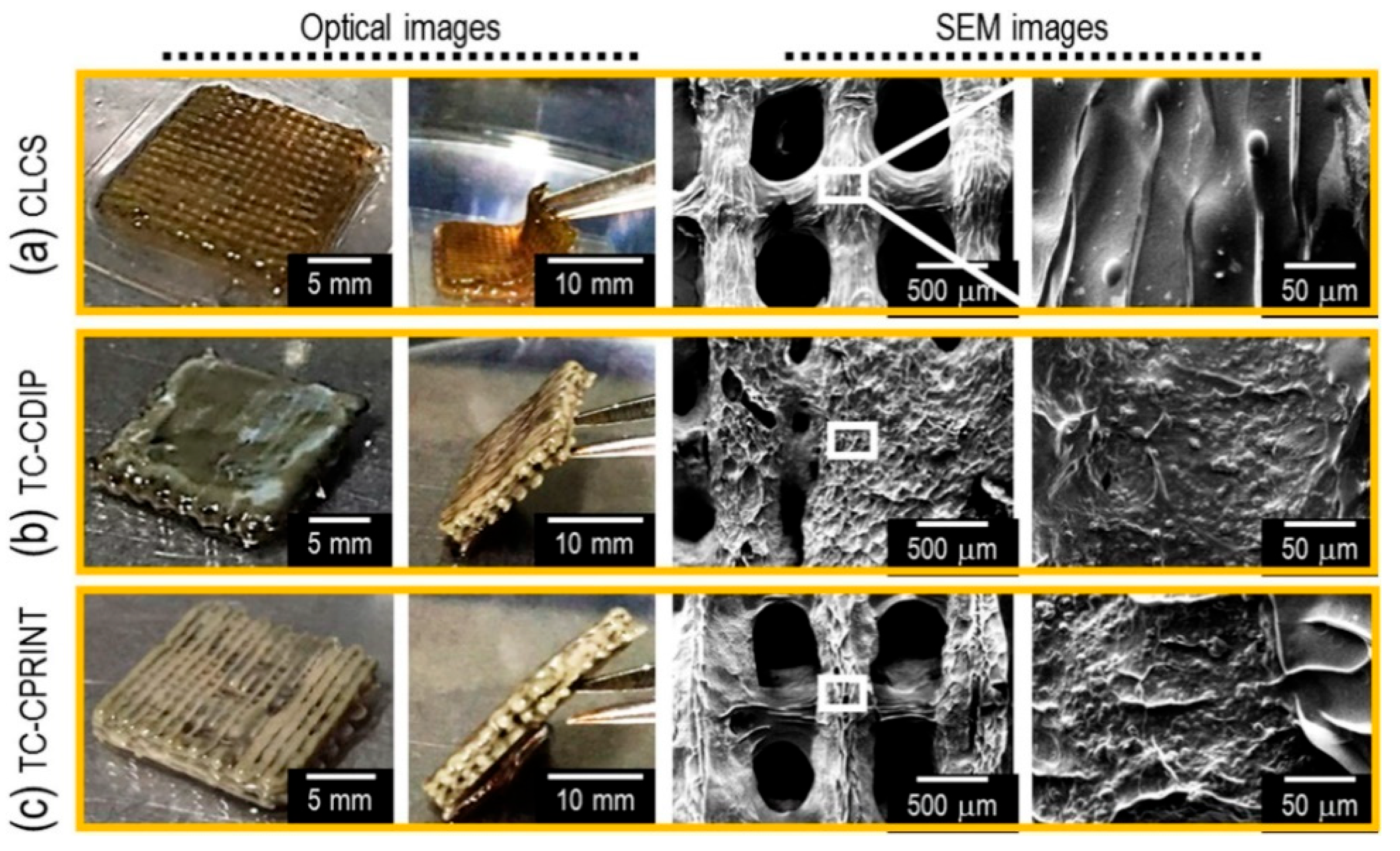Preprints 166278 g006