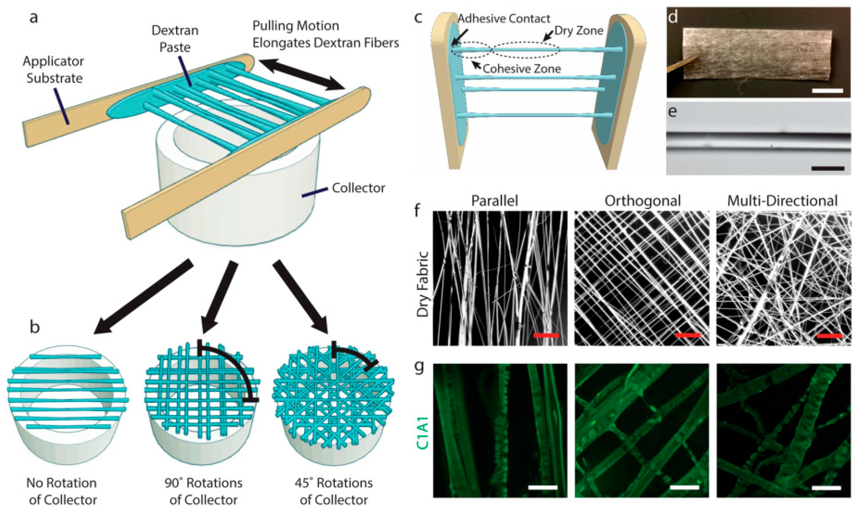 Preprints 166278 g008