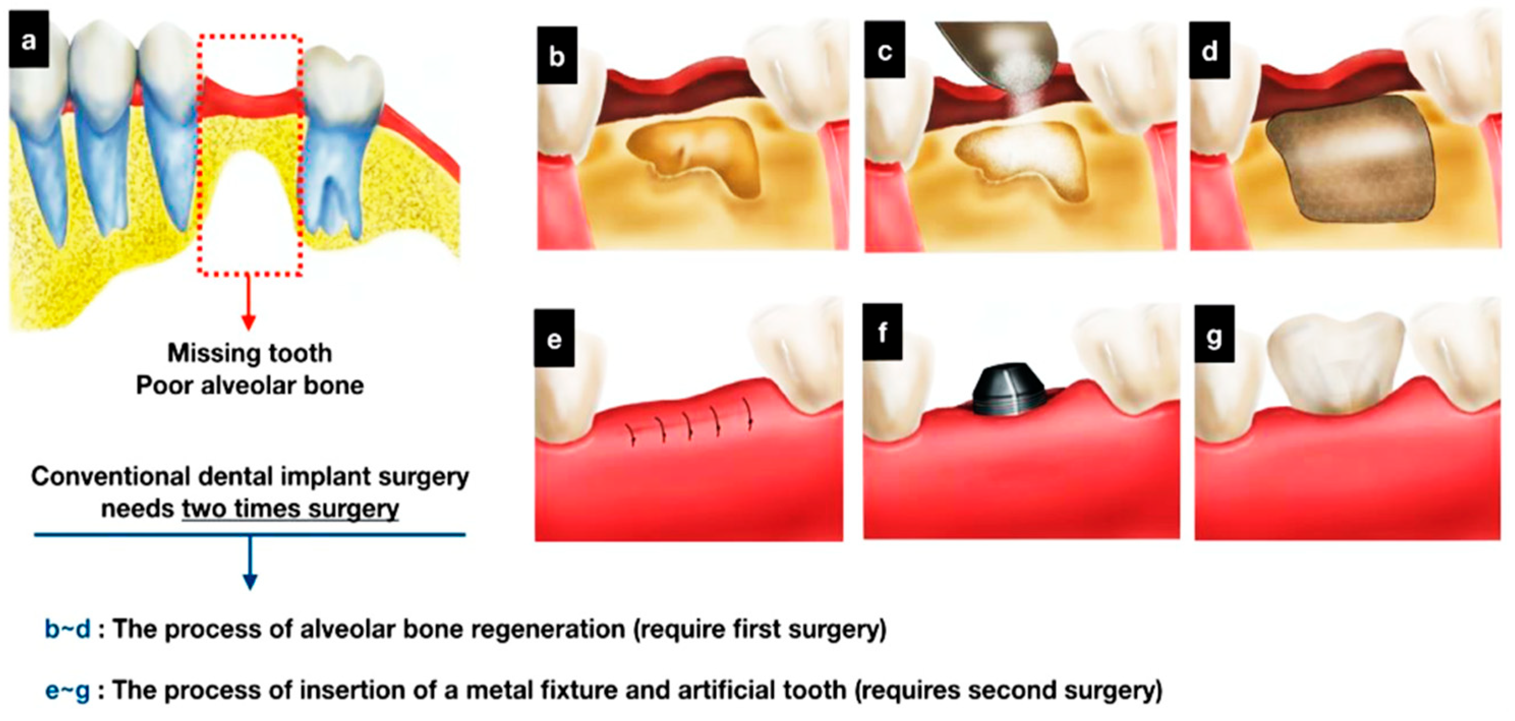 Preprints 166278 g011