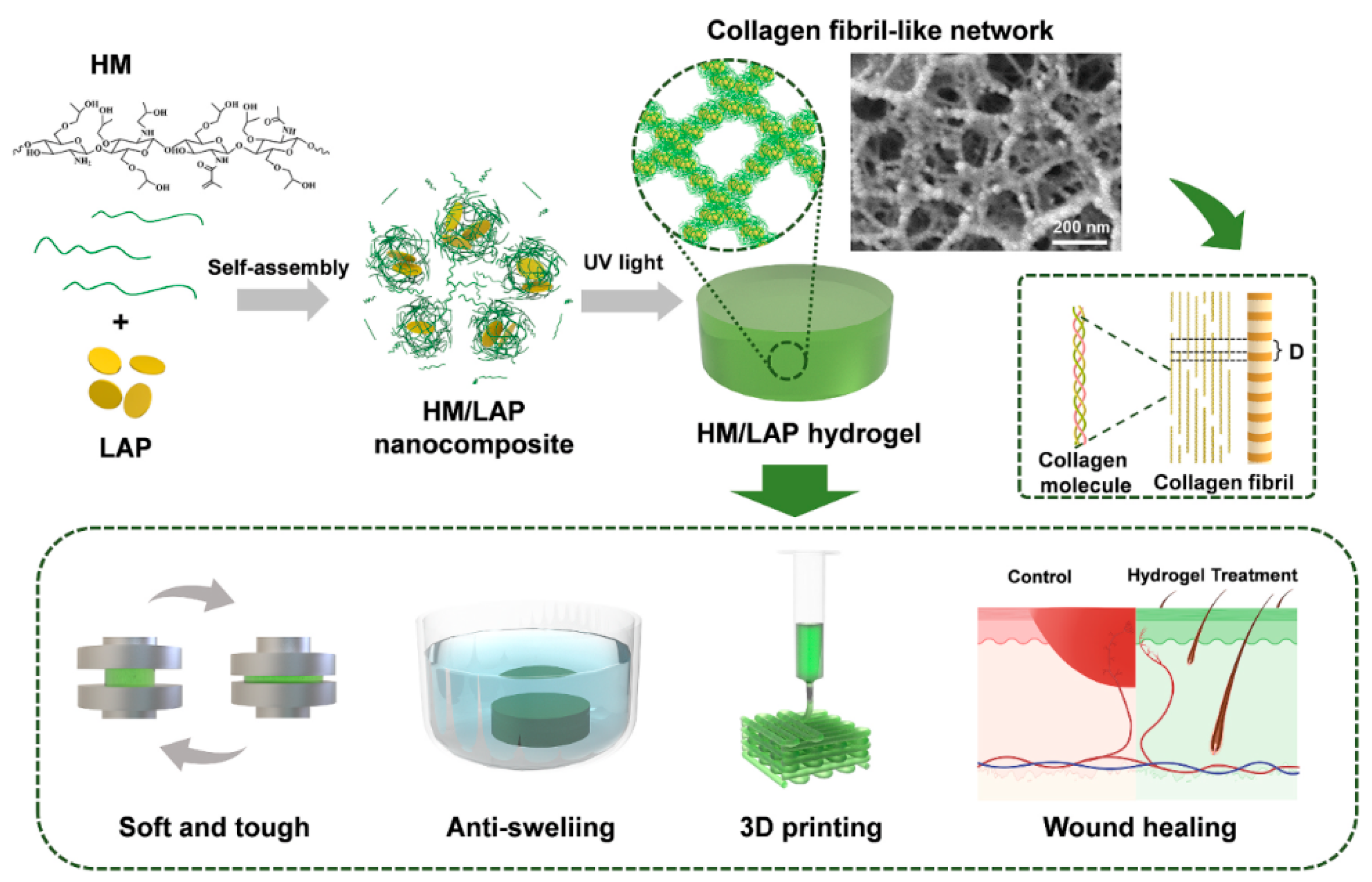Preprints 166278 g012