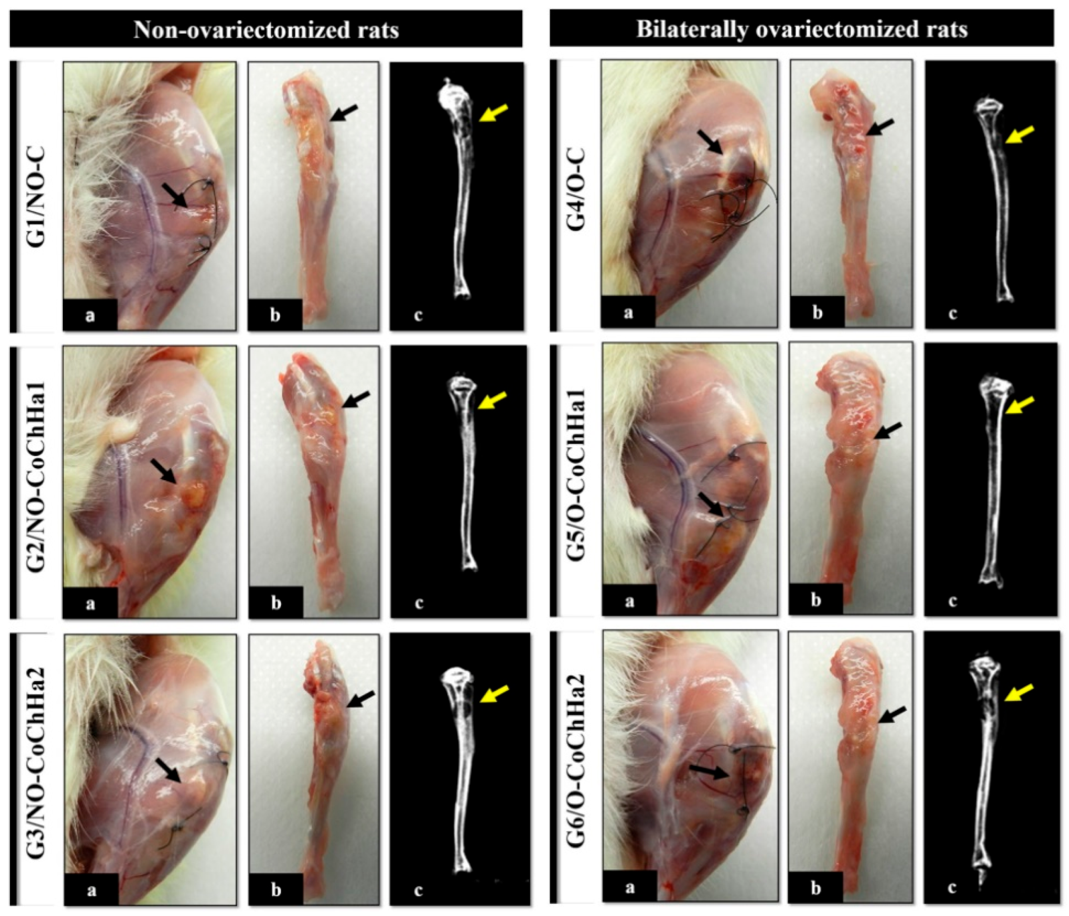 Preprints 166278 g013