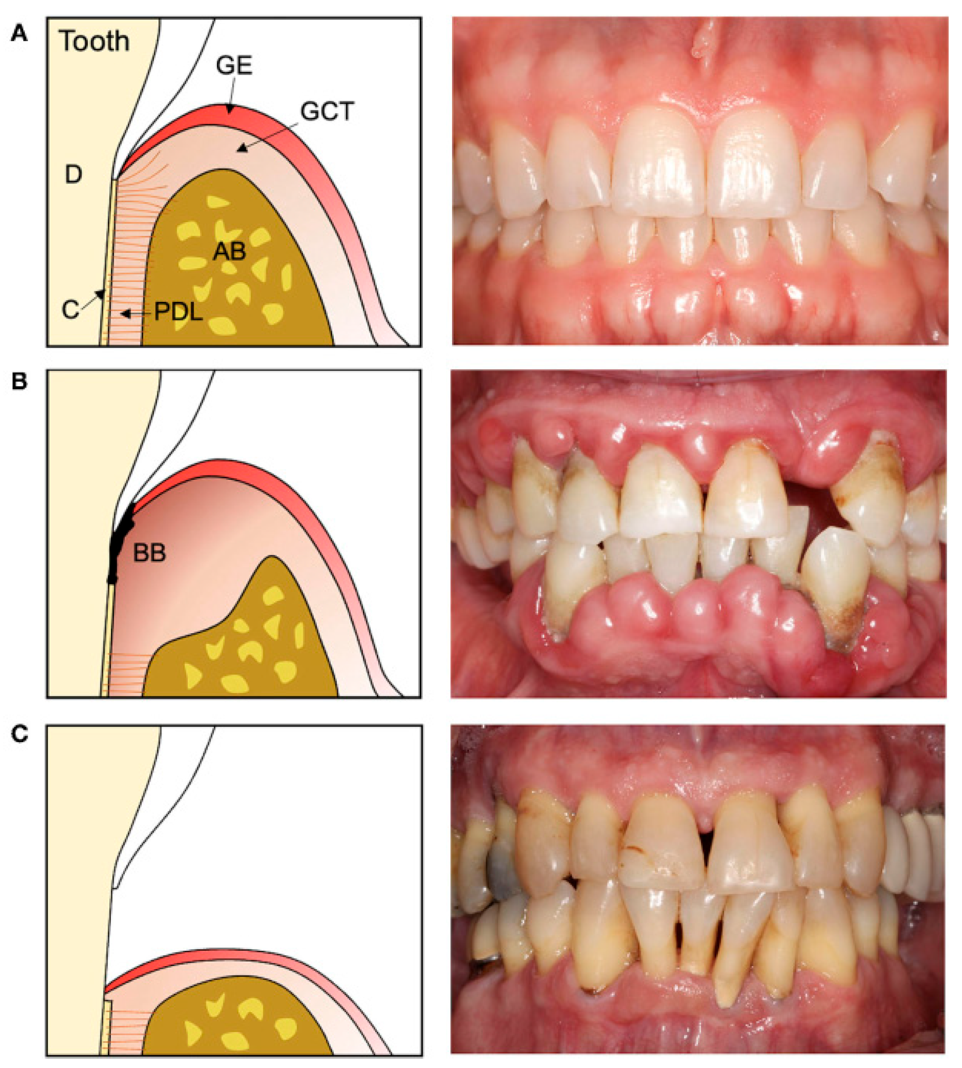 Preprints 166278 g014