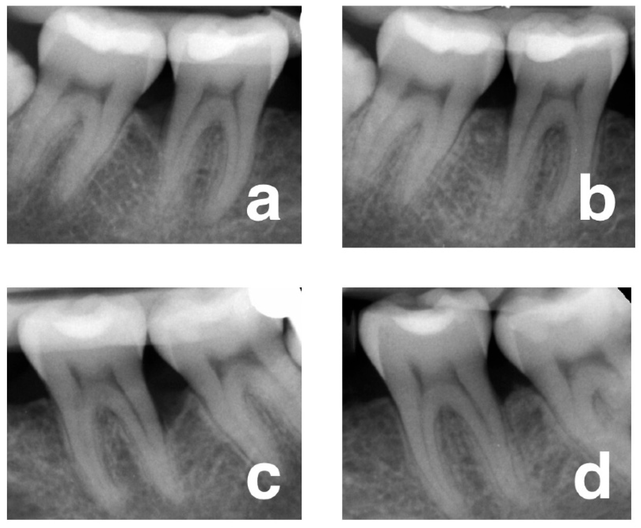 Preprints 166278 g015