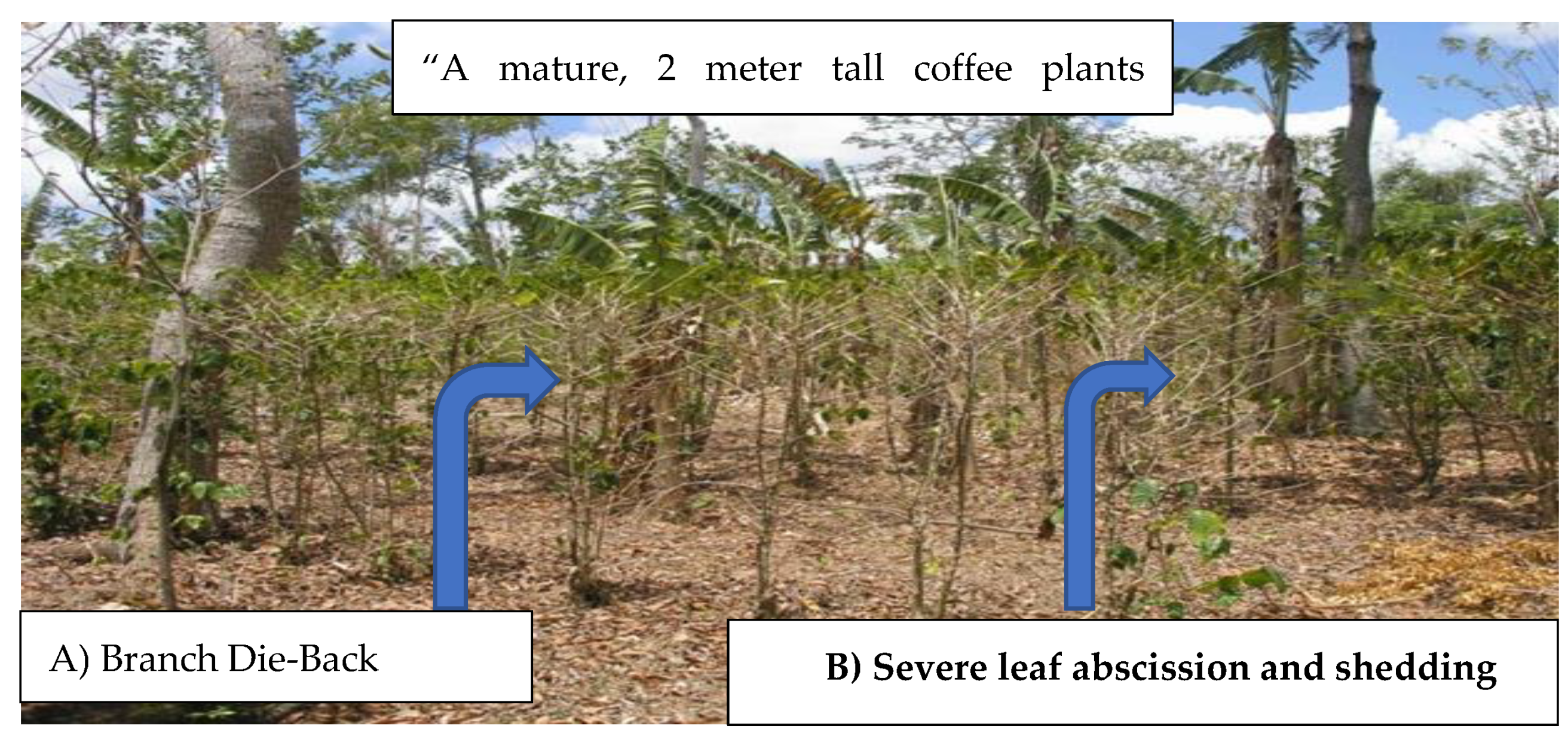 Preprints 189440 g001
