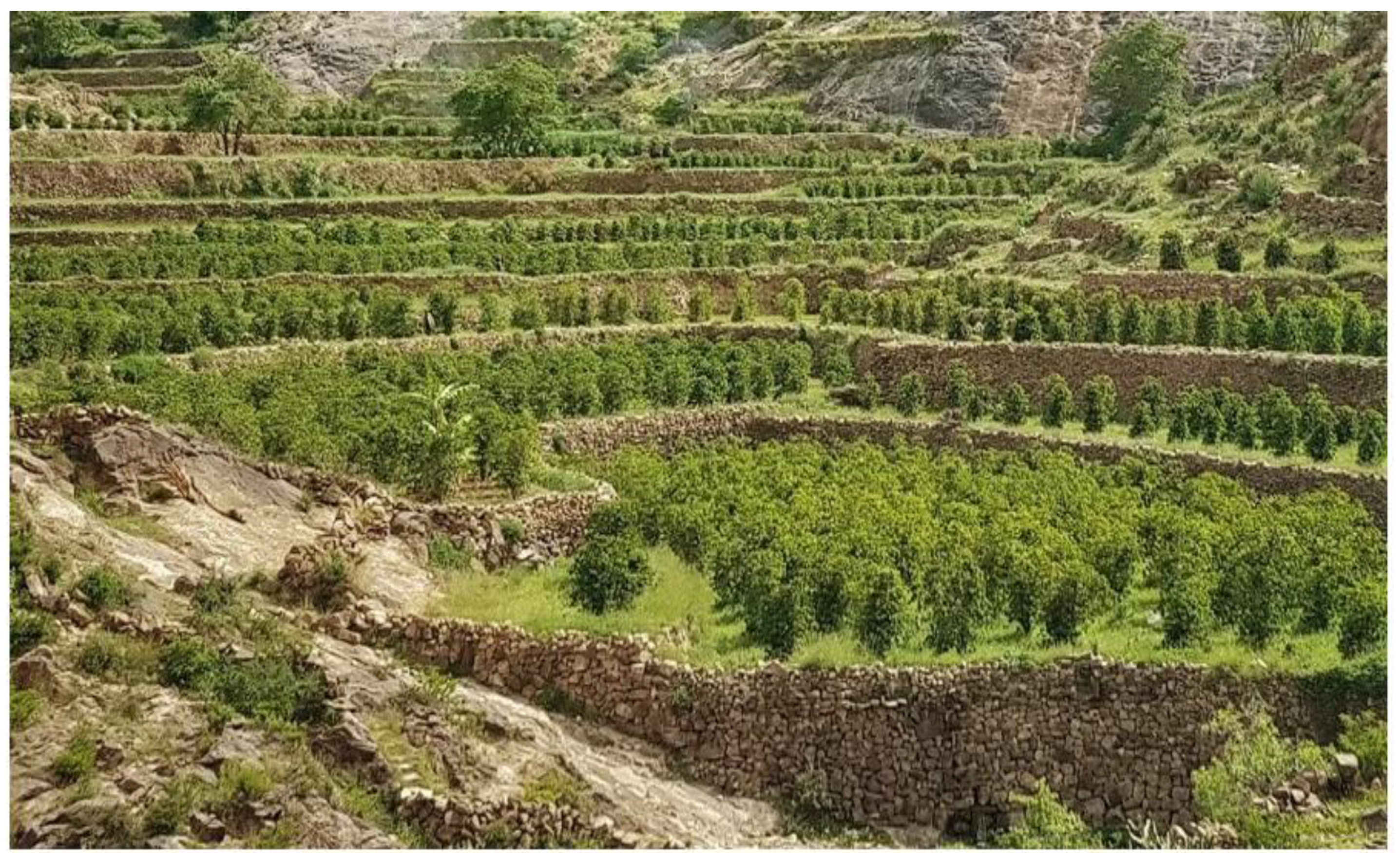 Preprints 189440 g003