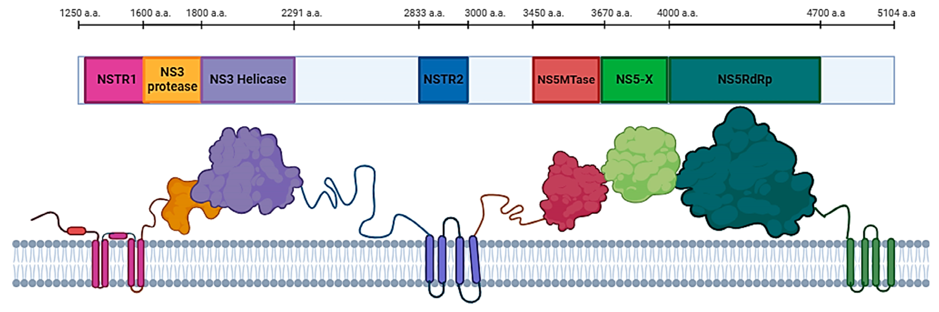 Preprints 141521 g001