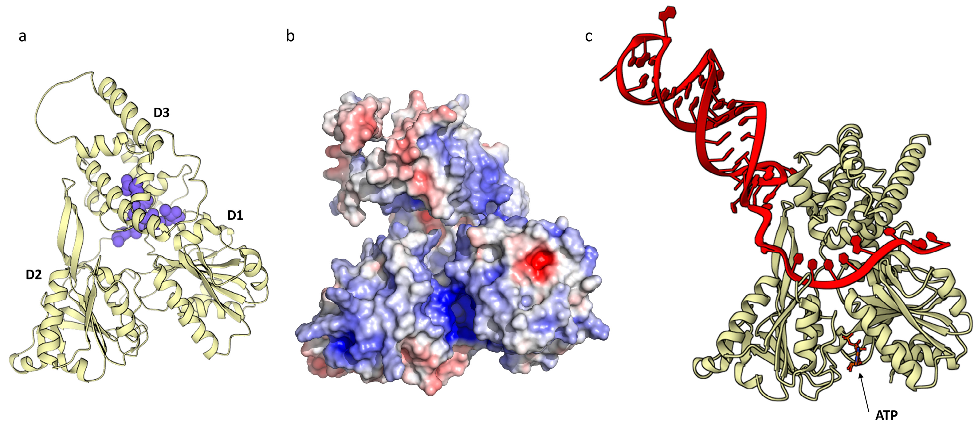 Preprints 141521 g005