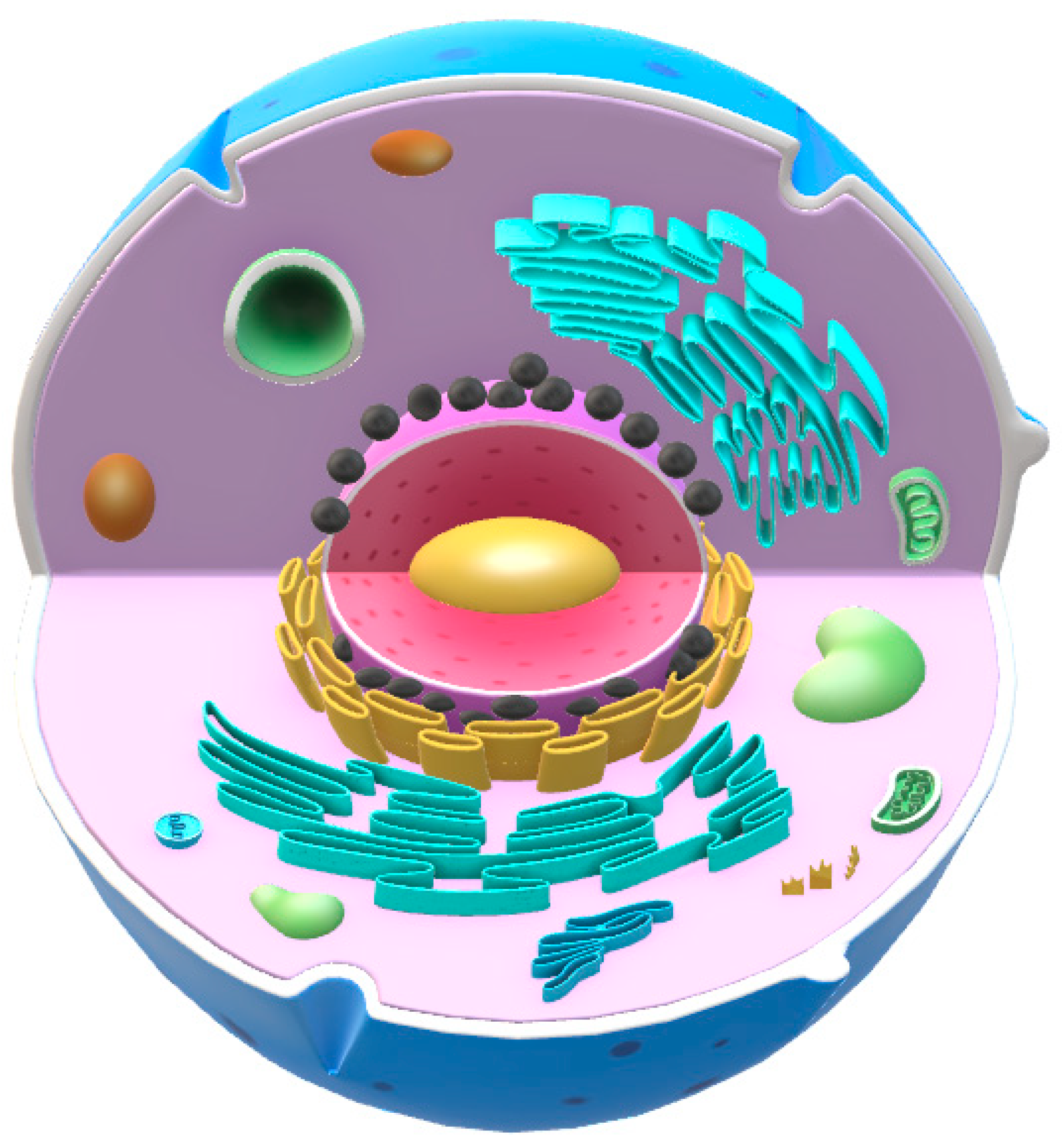 Preprints 150937 g003