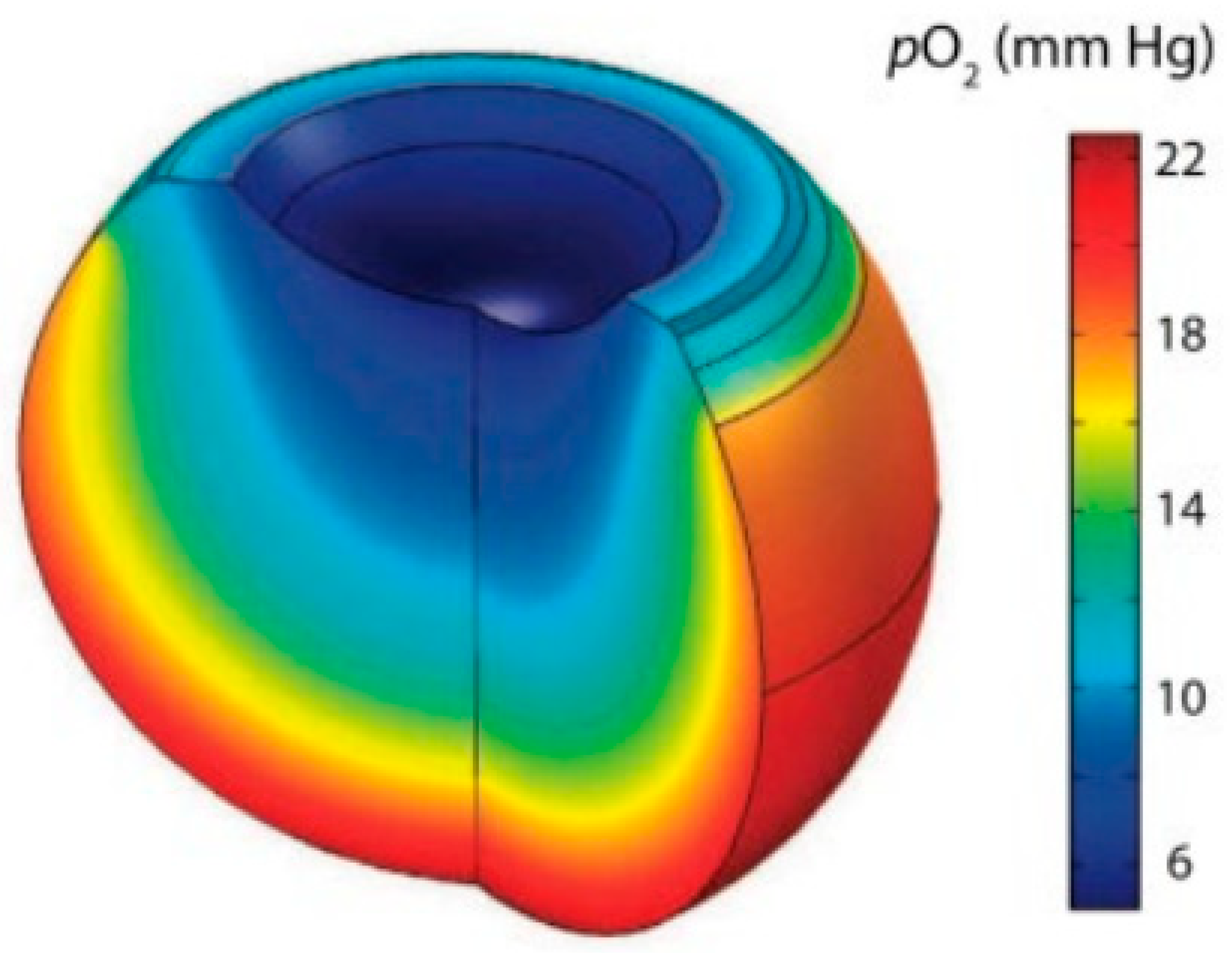 Preprints 150937 g008