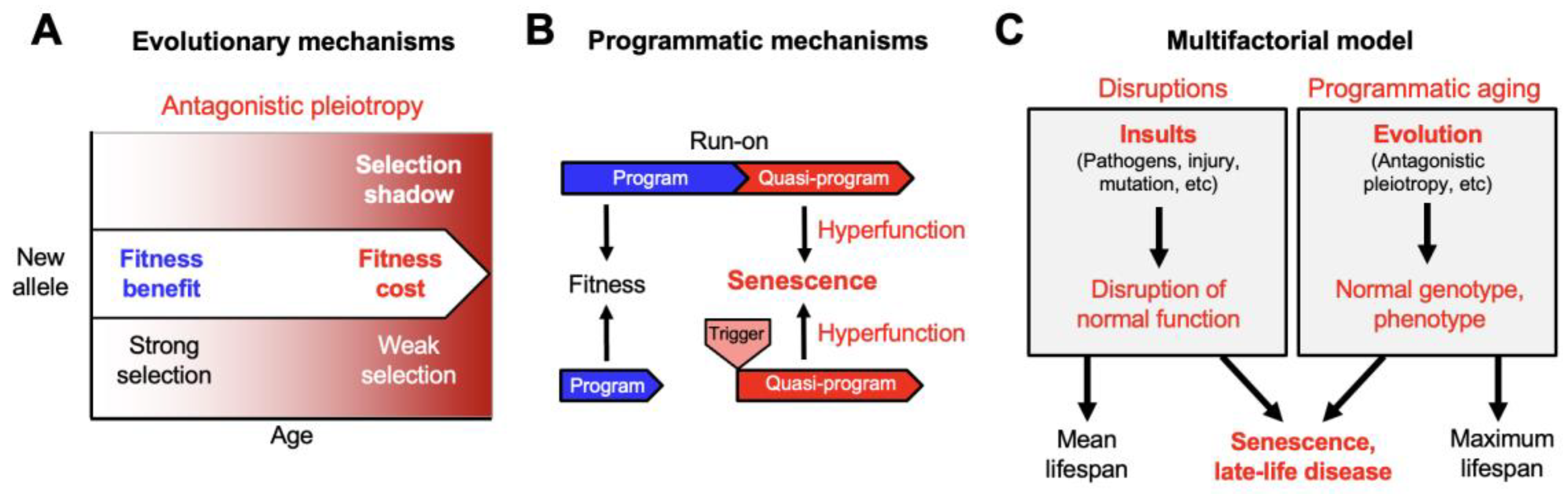 Preprints 177055 g001