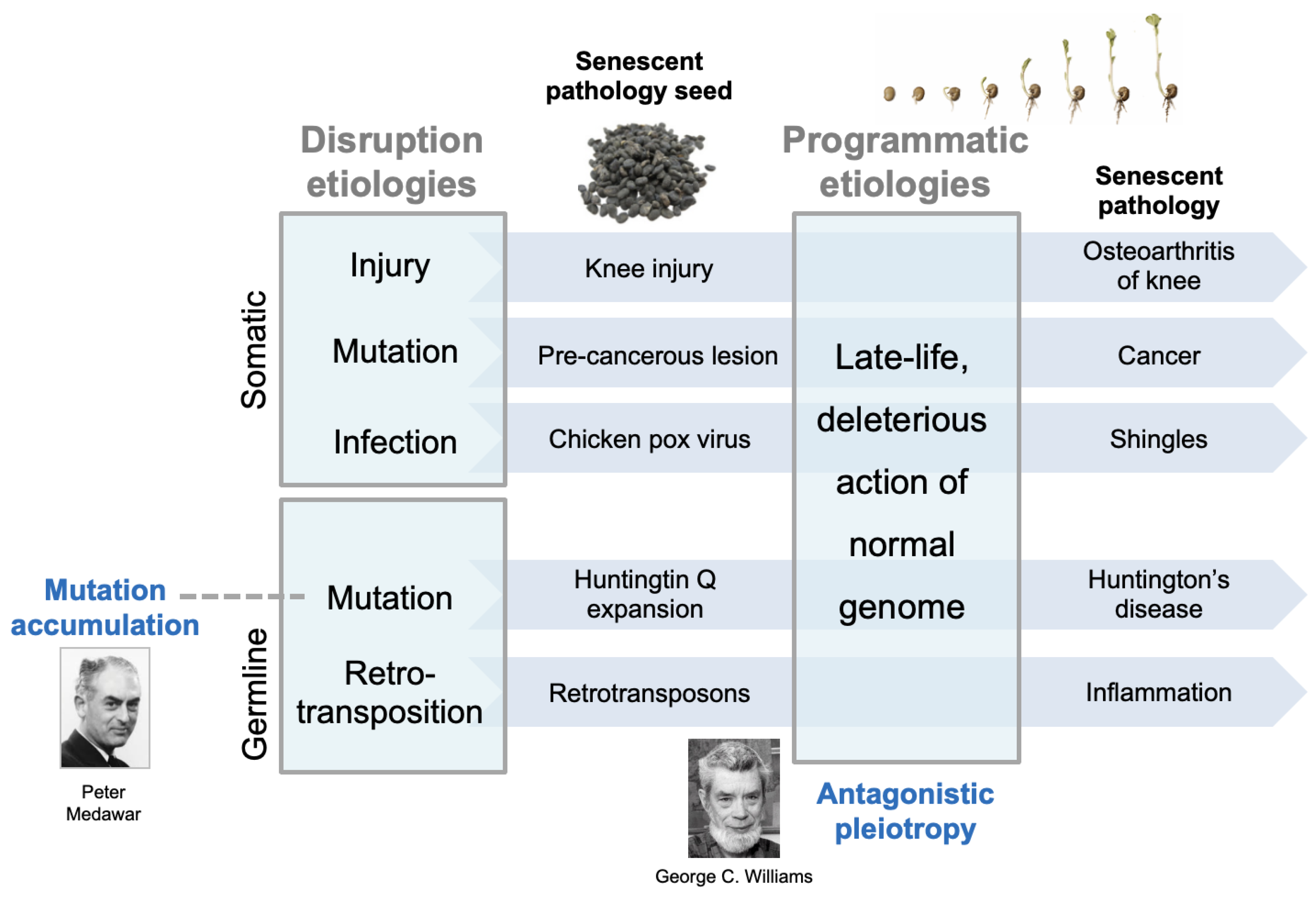 Preprints 177055 g002