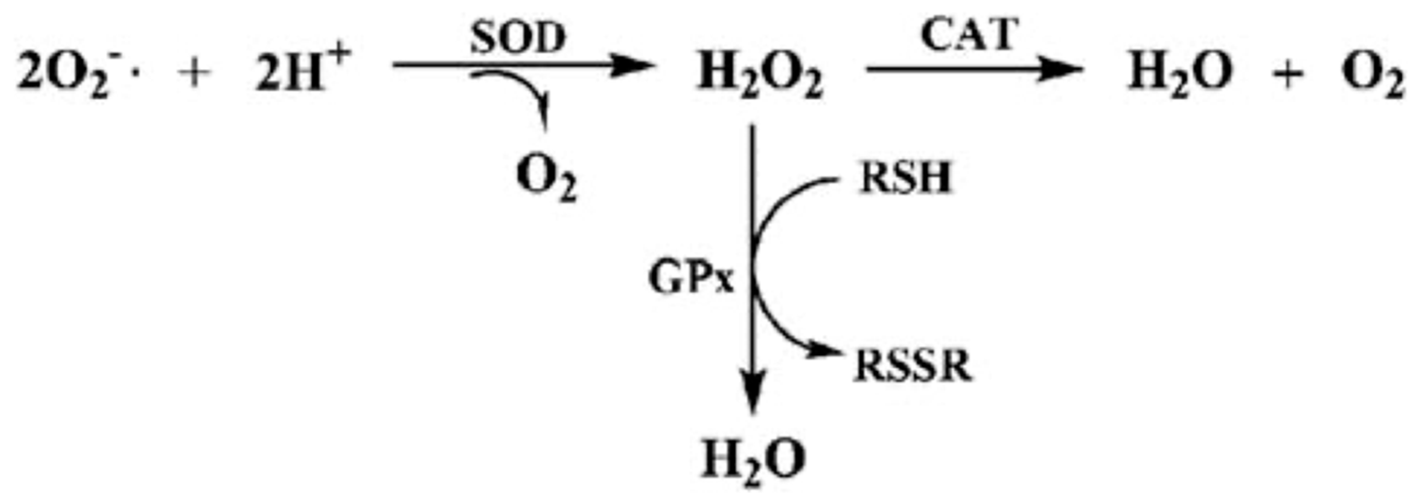 Preprints 200848 g001