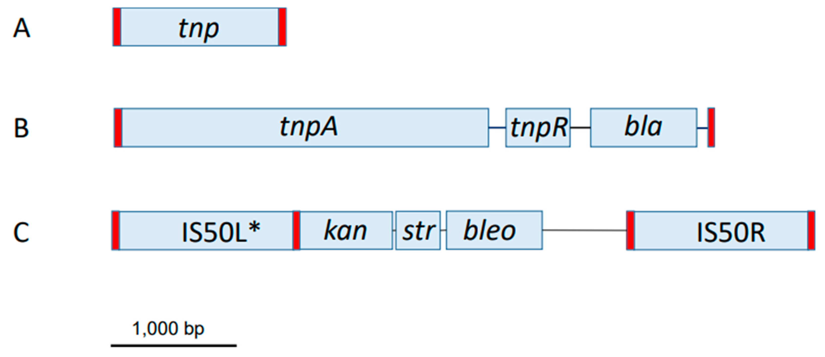 Preprints 98880 g001