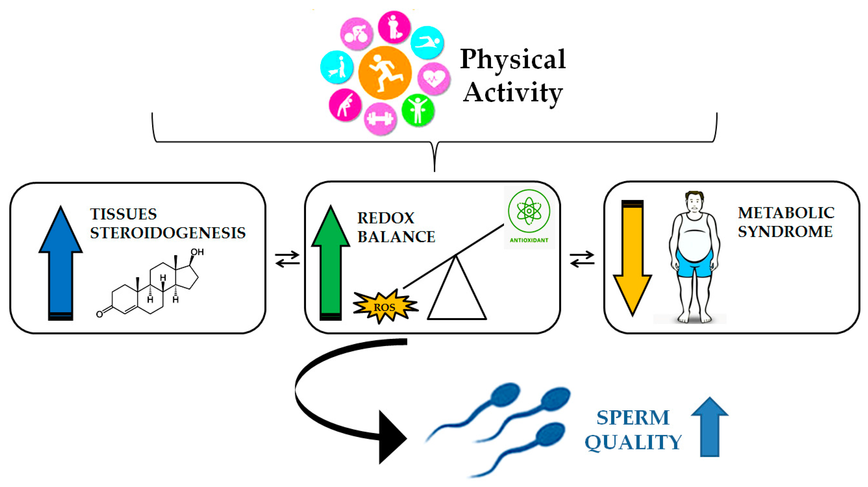 Preprints 148654 g003