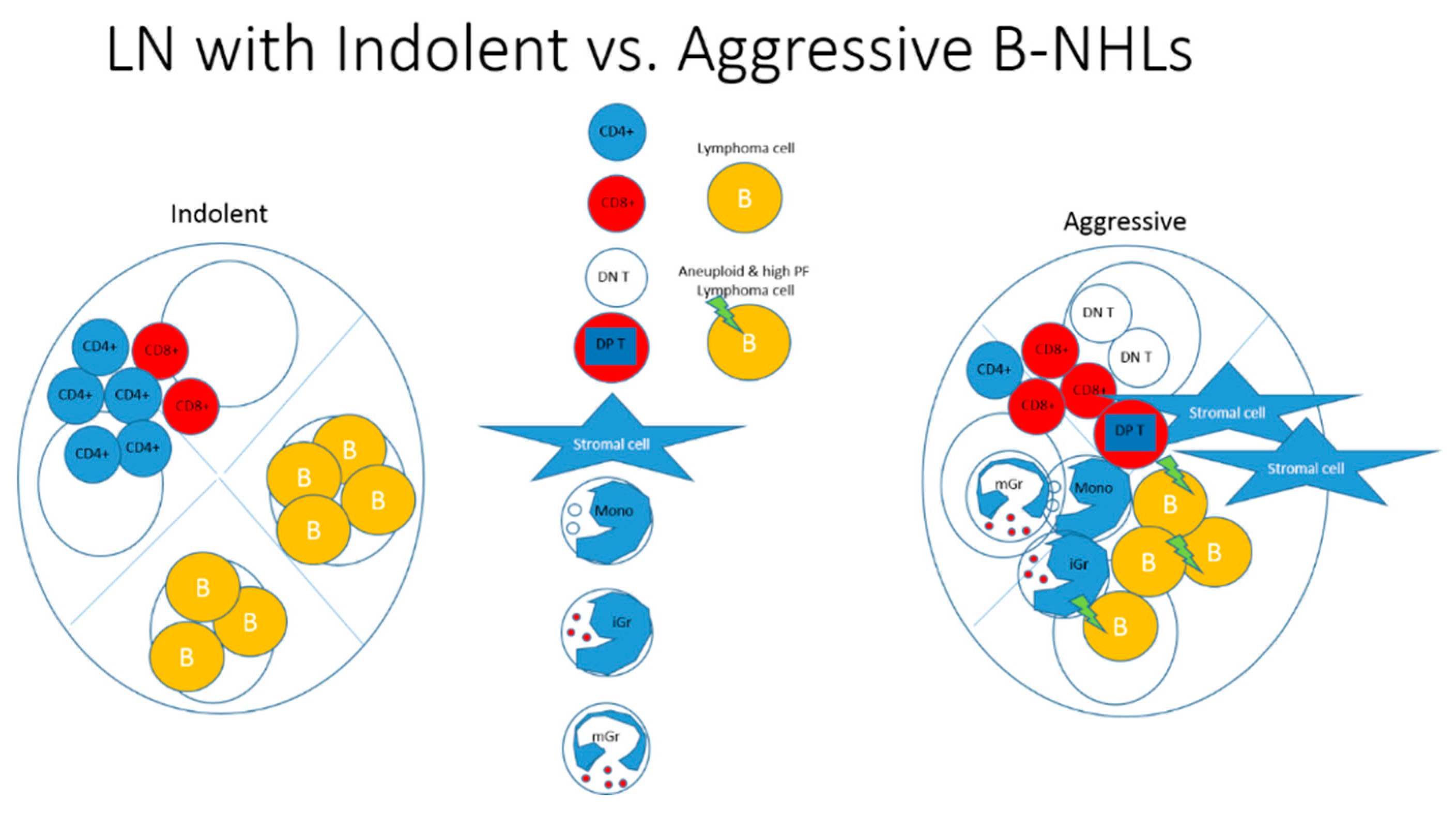 Preprints 90462 g002