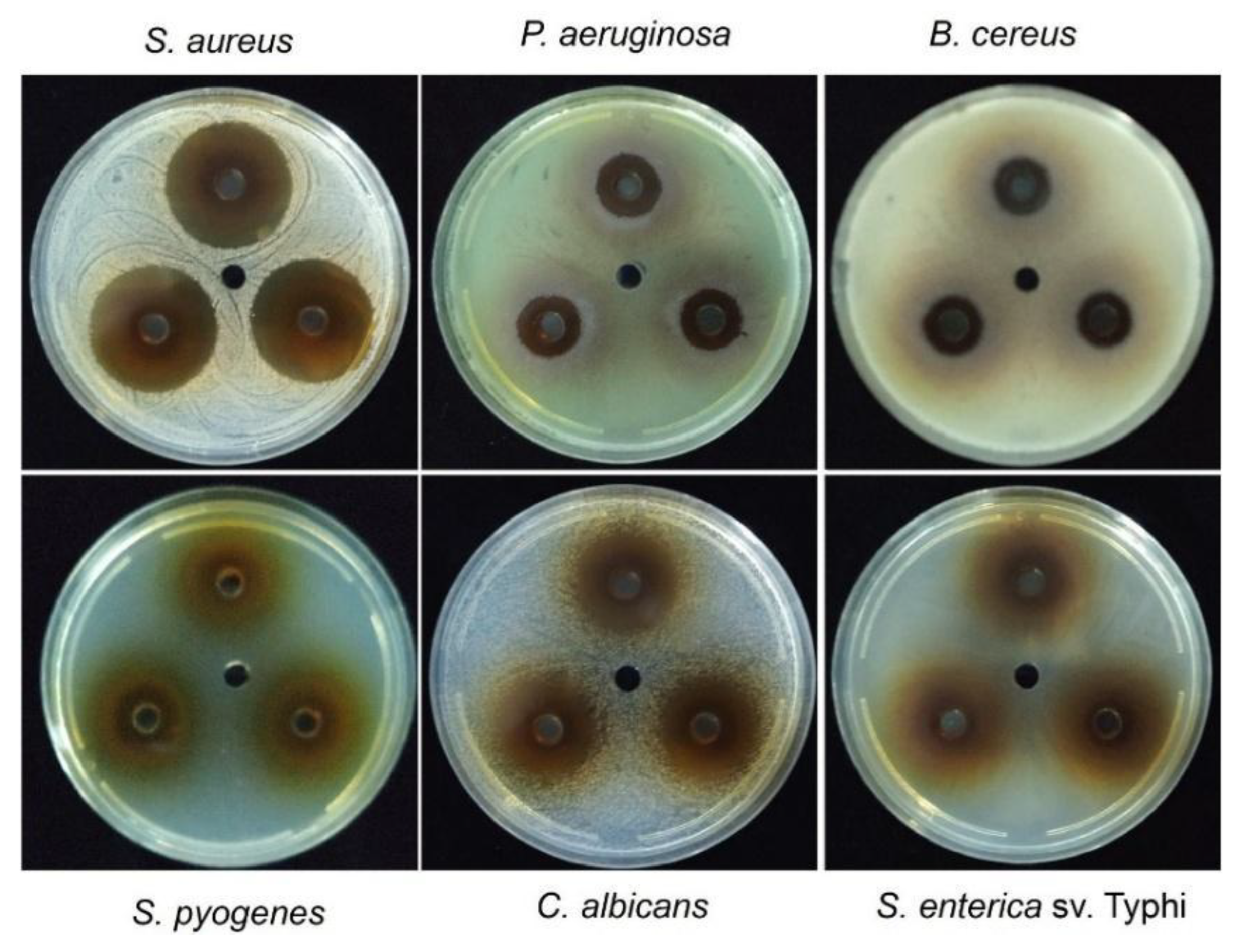 Preprints 189842 g003