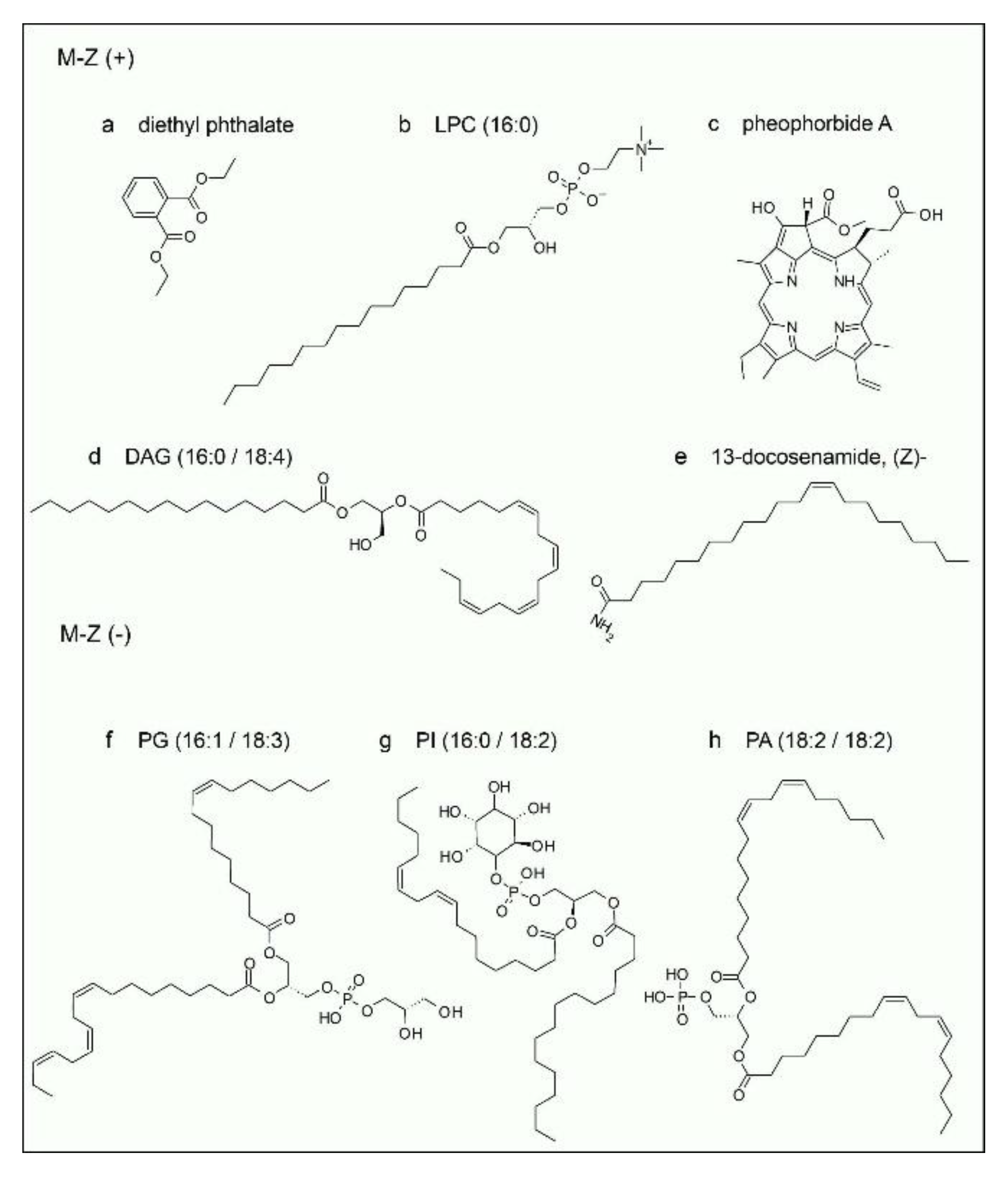 Preprints 189842 g006