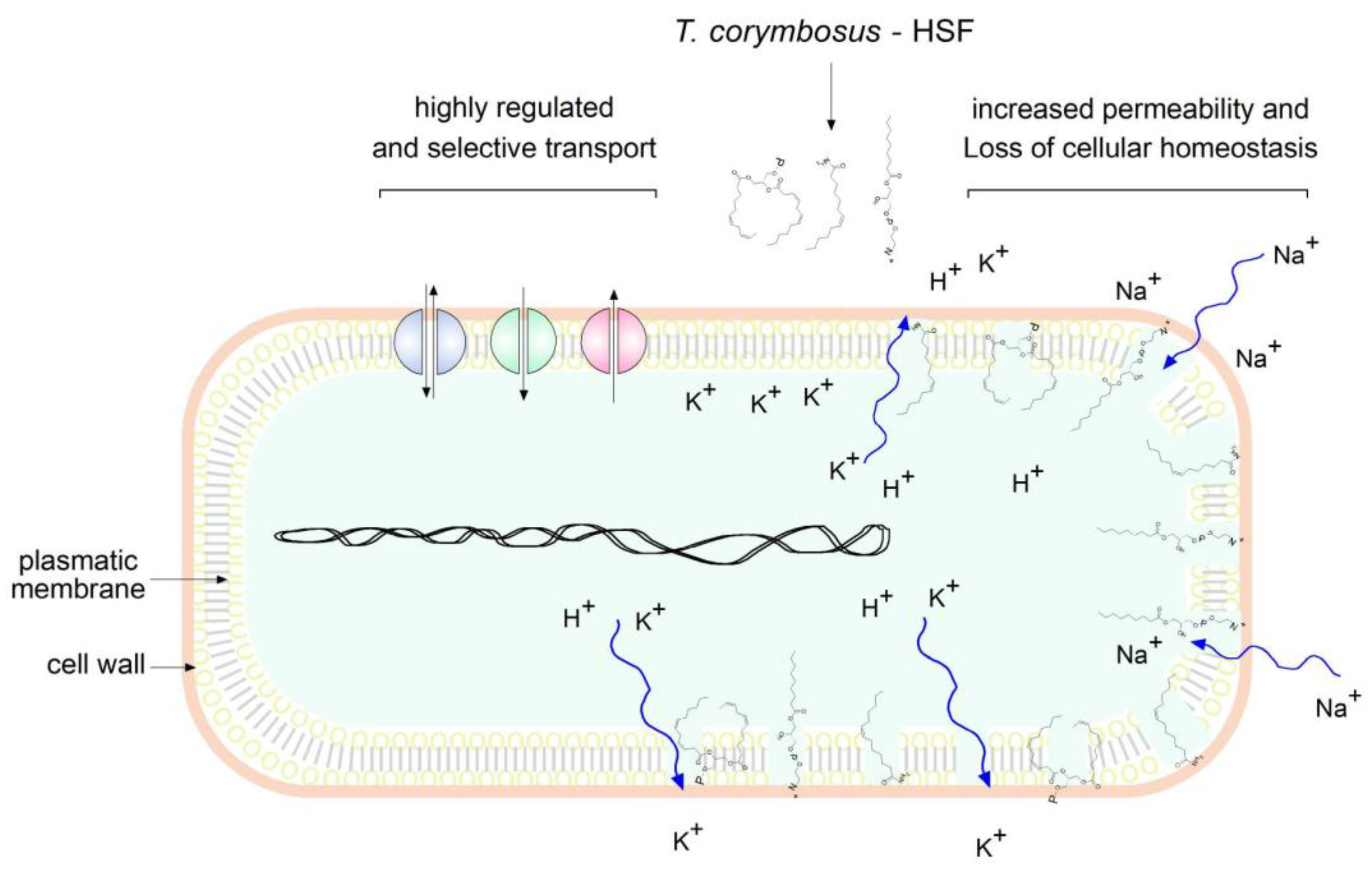 Preprints 189842 g008