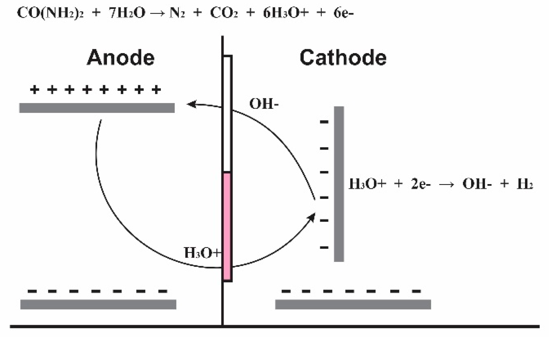 Preprints 147359 g003