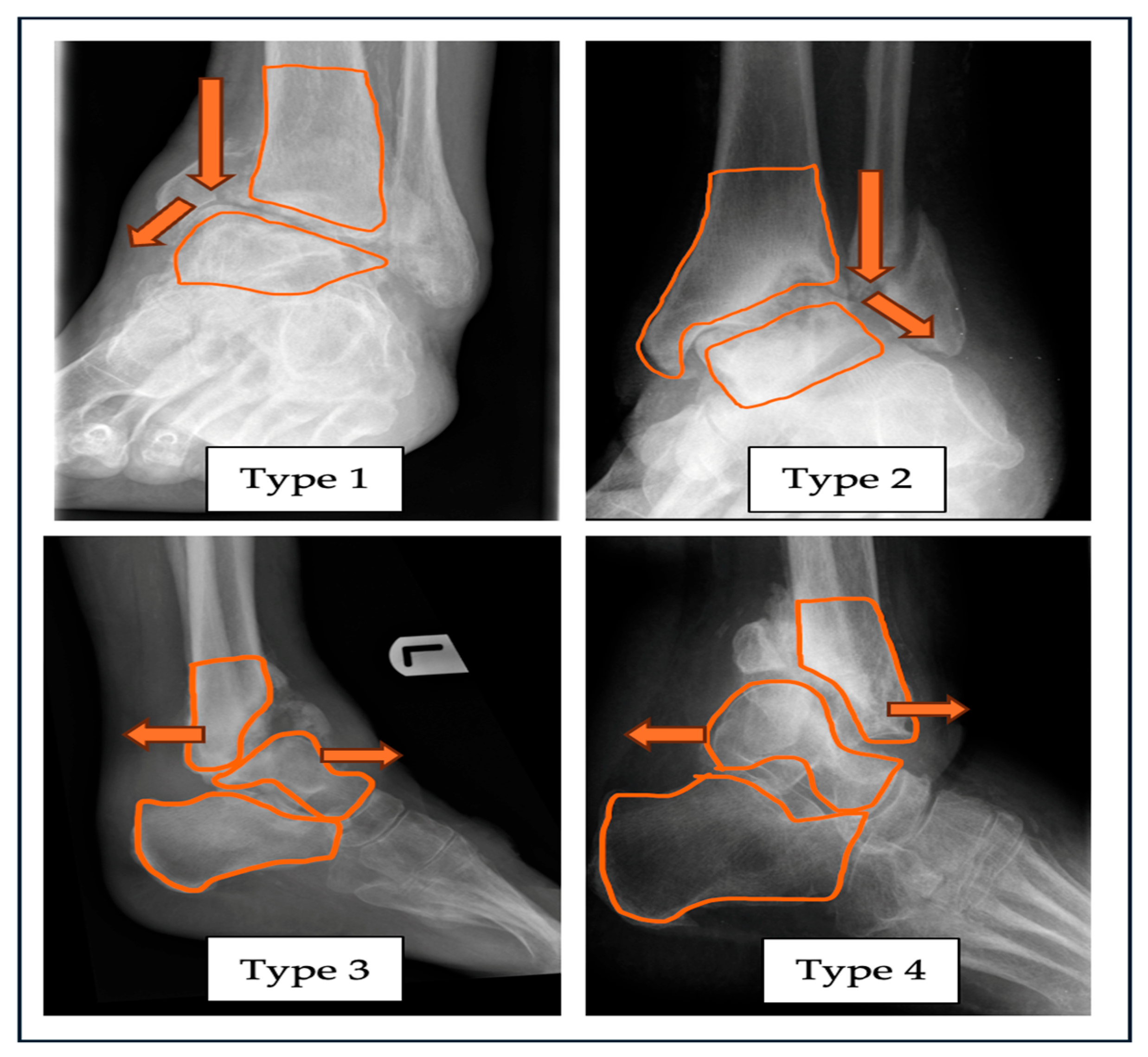 Preprints 150759 g001