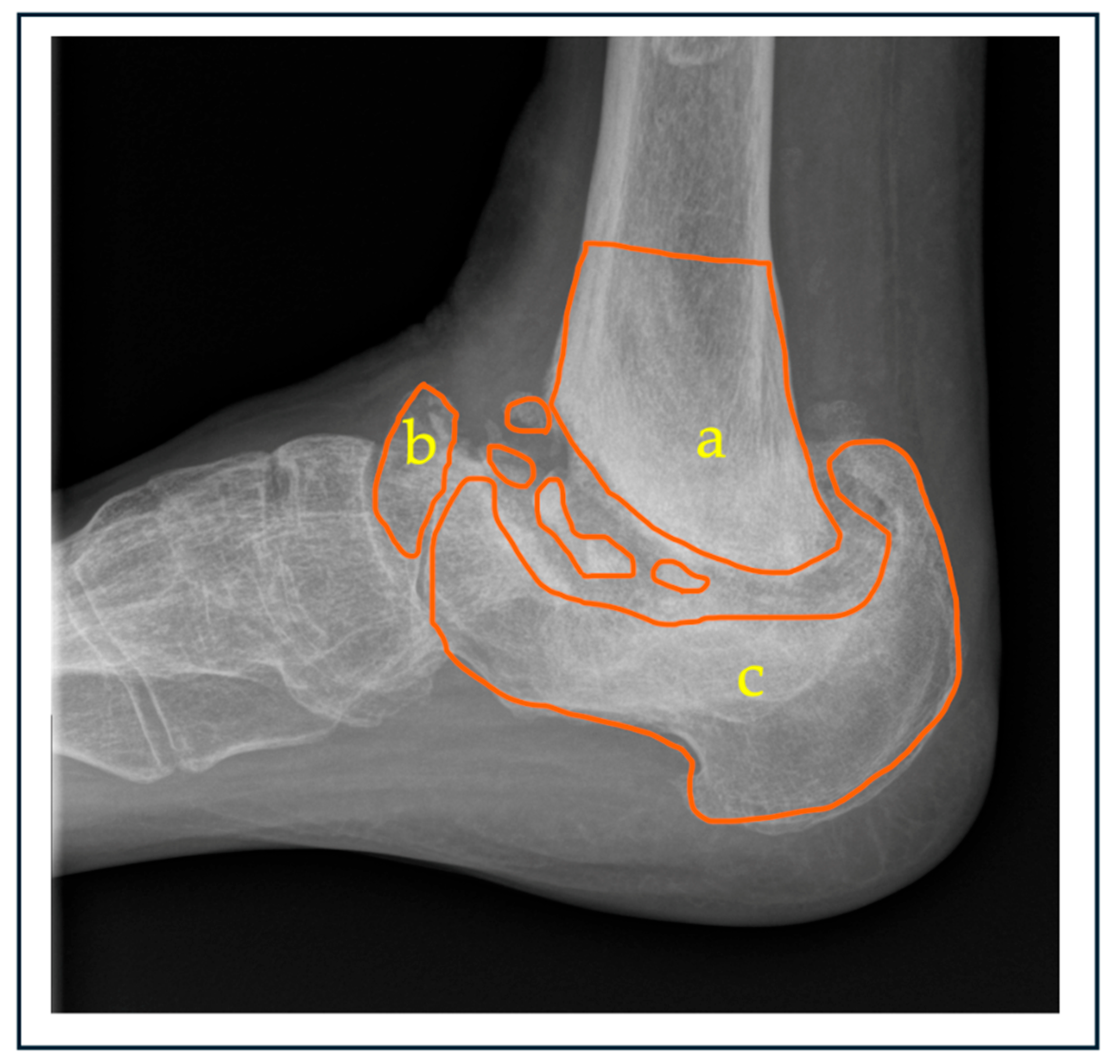 Preprints 150759 g002