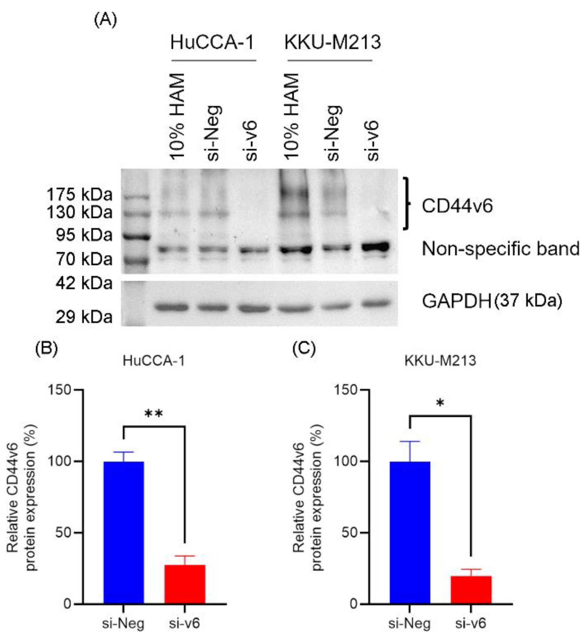 Preprints 176427 g001