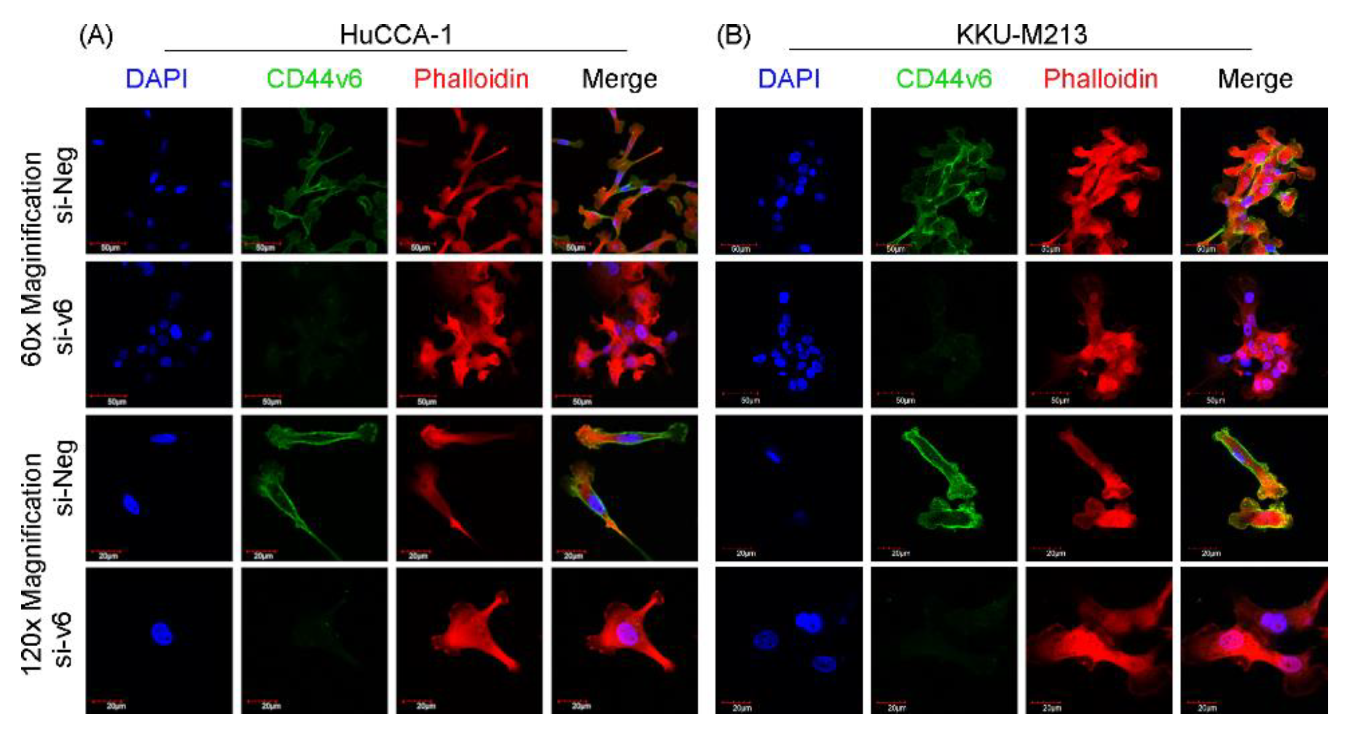 Preprints 176427 g004