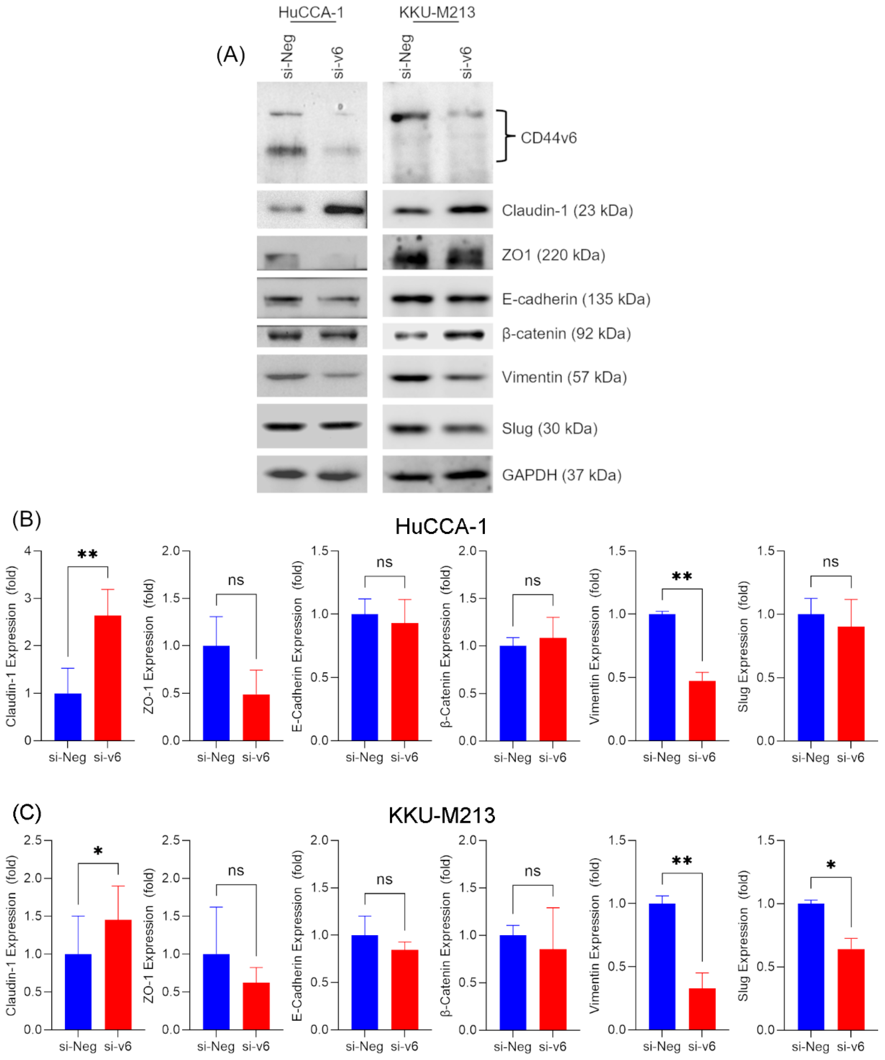 Preprints 176427 g005