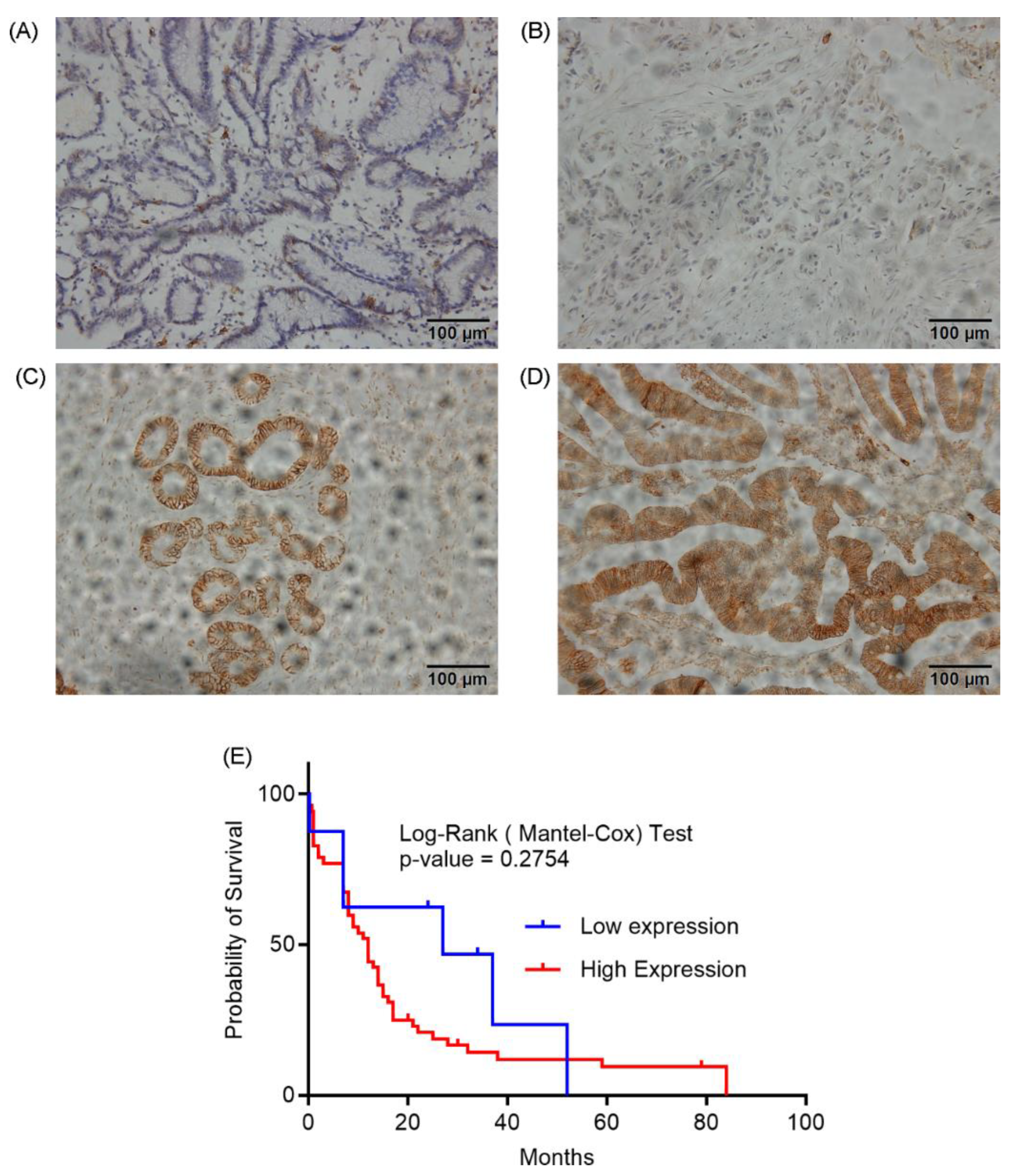 Preprints 176427 g006