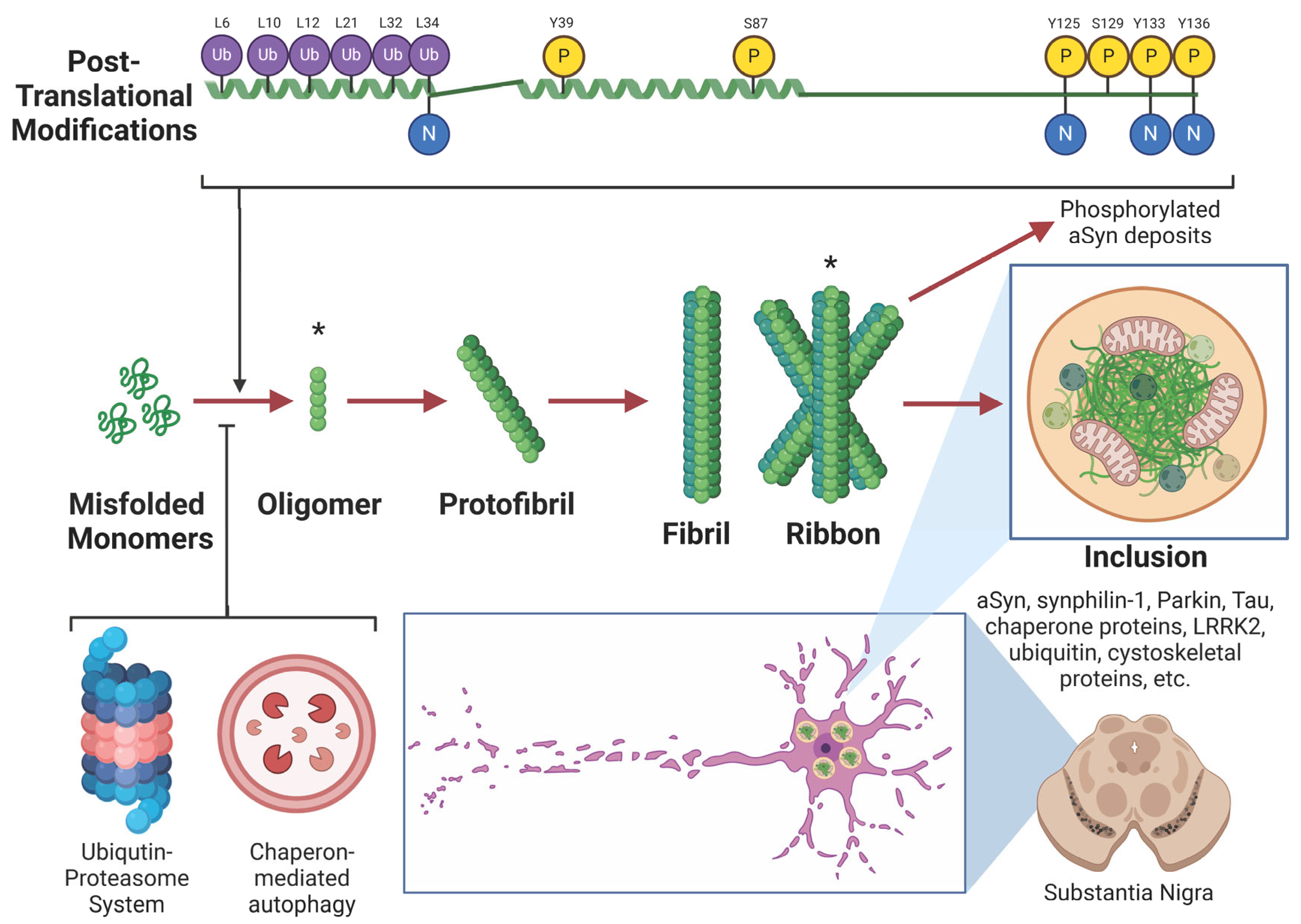 Preprints 157194 g002