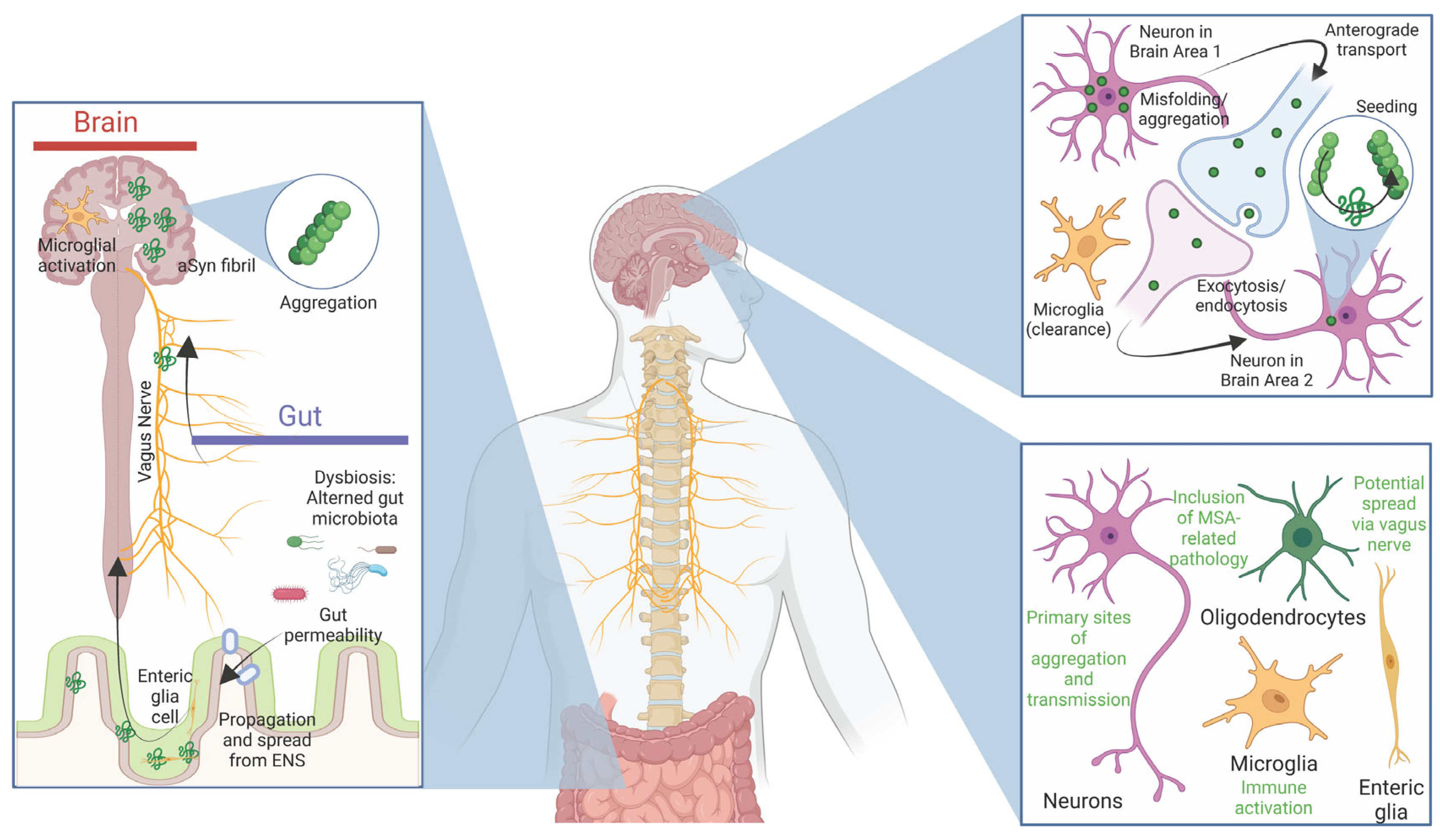 Preprints 157194 g003