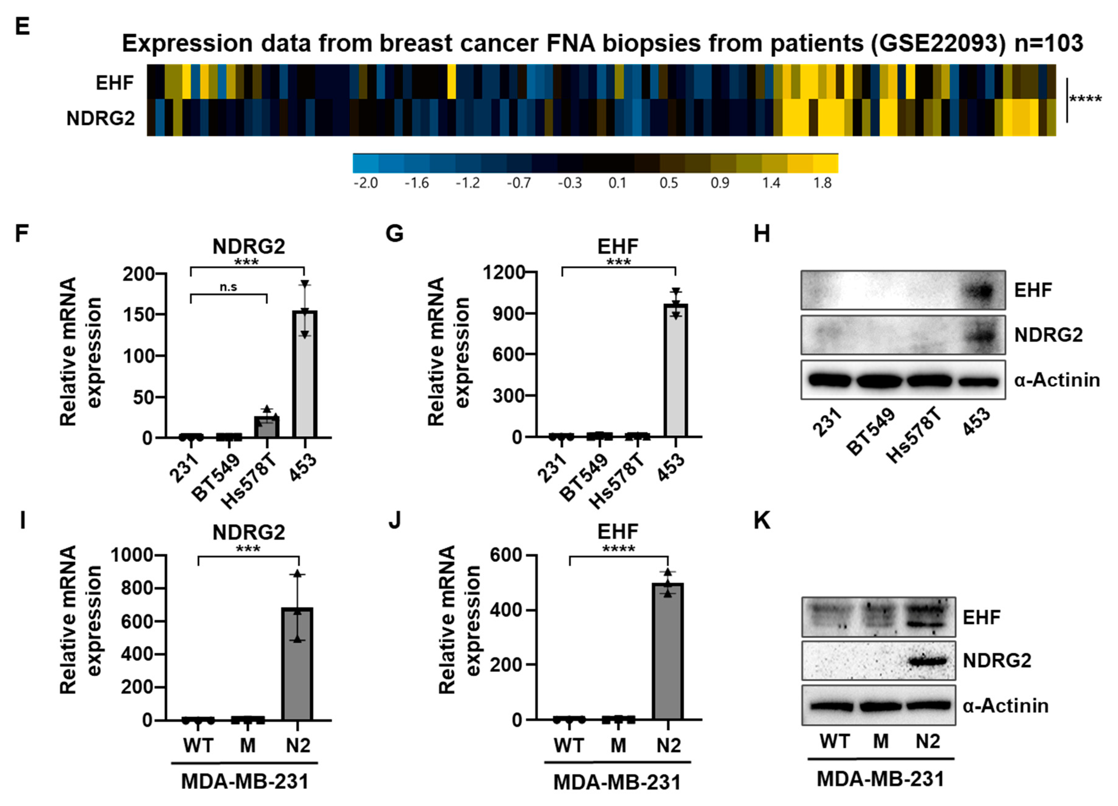 Preprints 87806 g001b