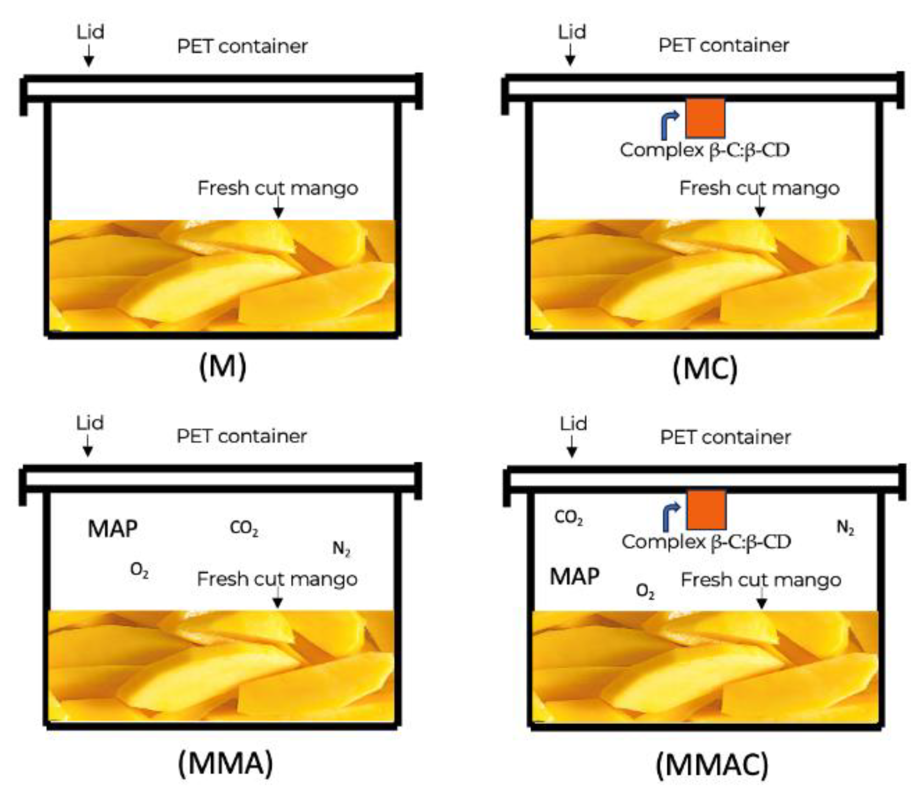 Preprints 198107 g006