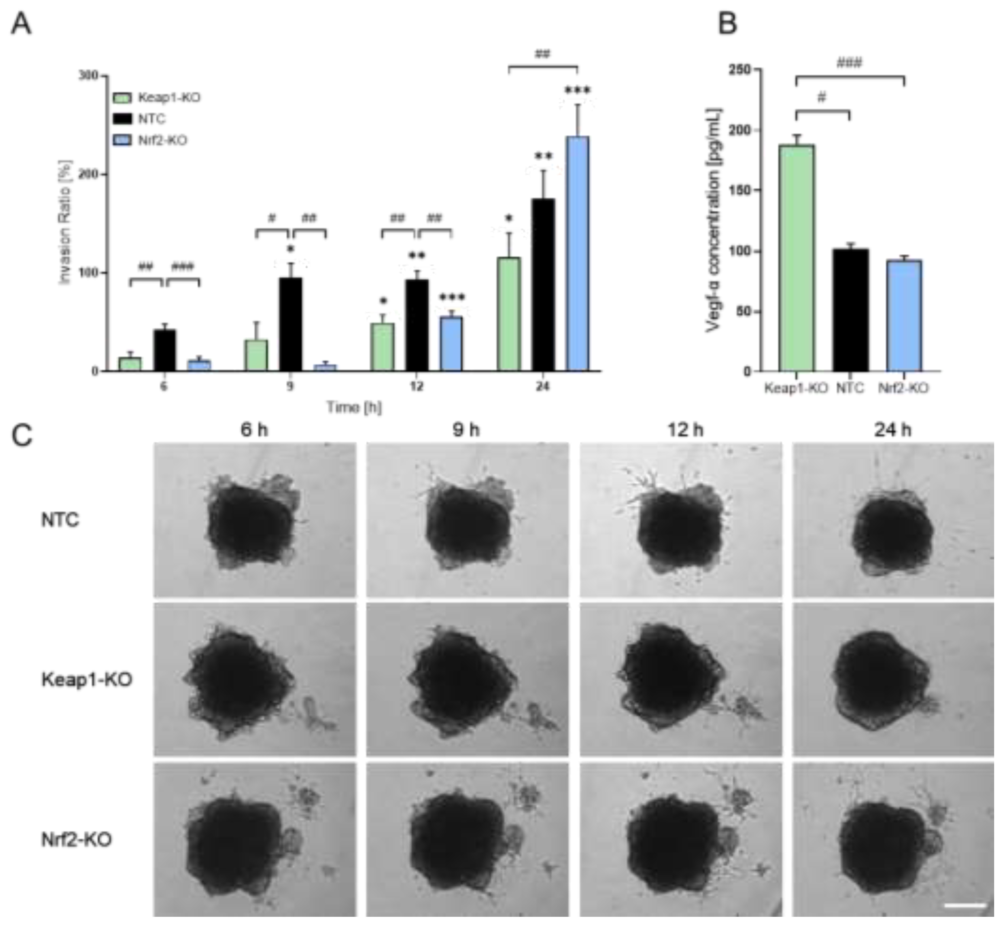 Preprints 196065 g002