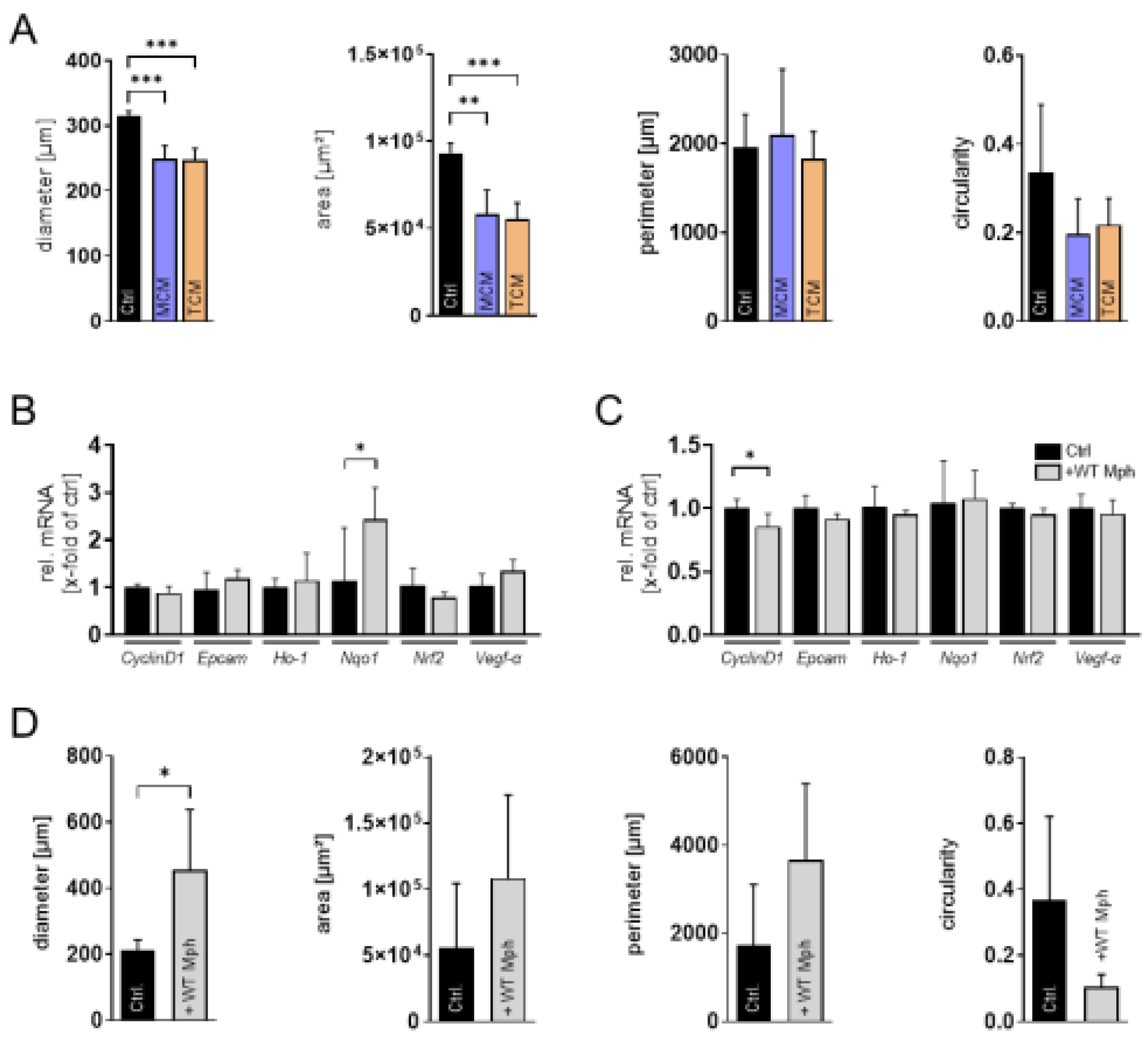 Preprints 196065 g003