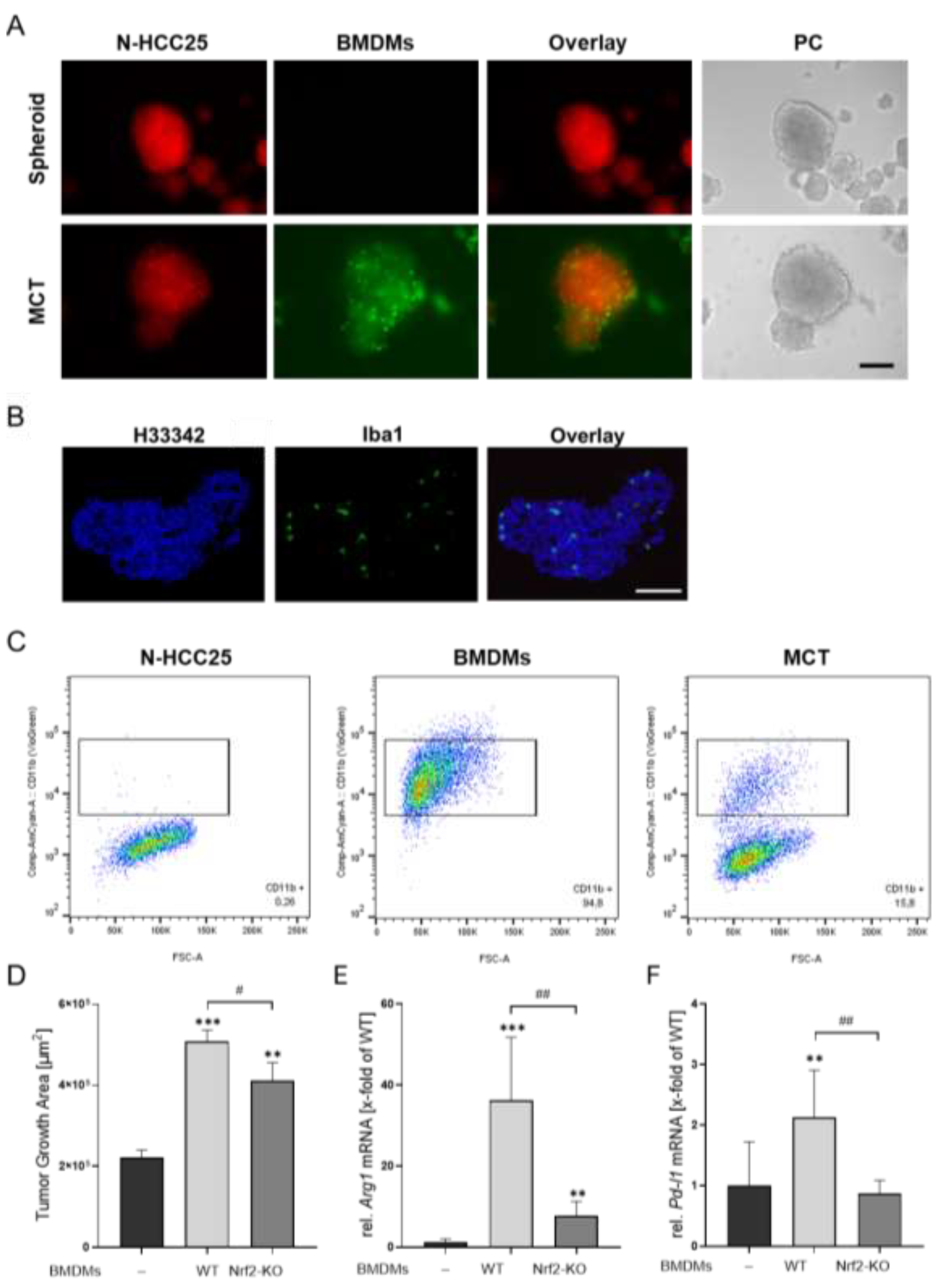 Preprints 196065 g004