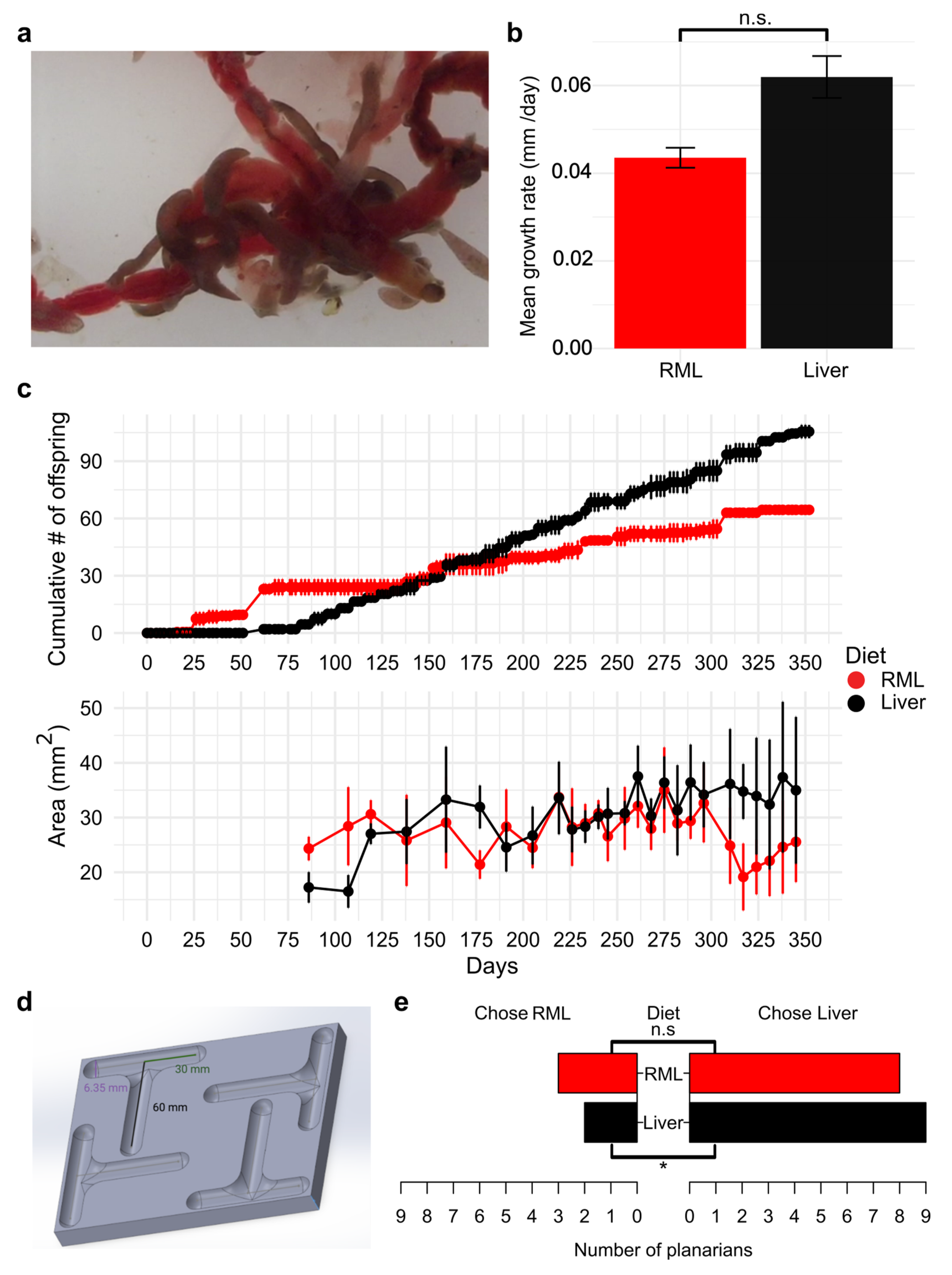 Preprints 184045 g001