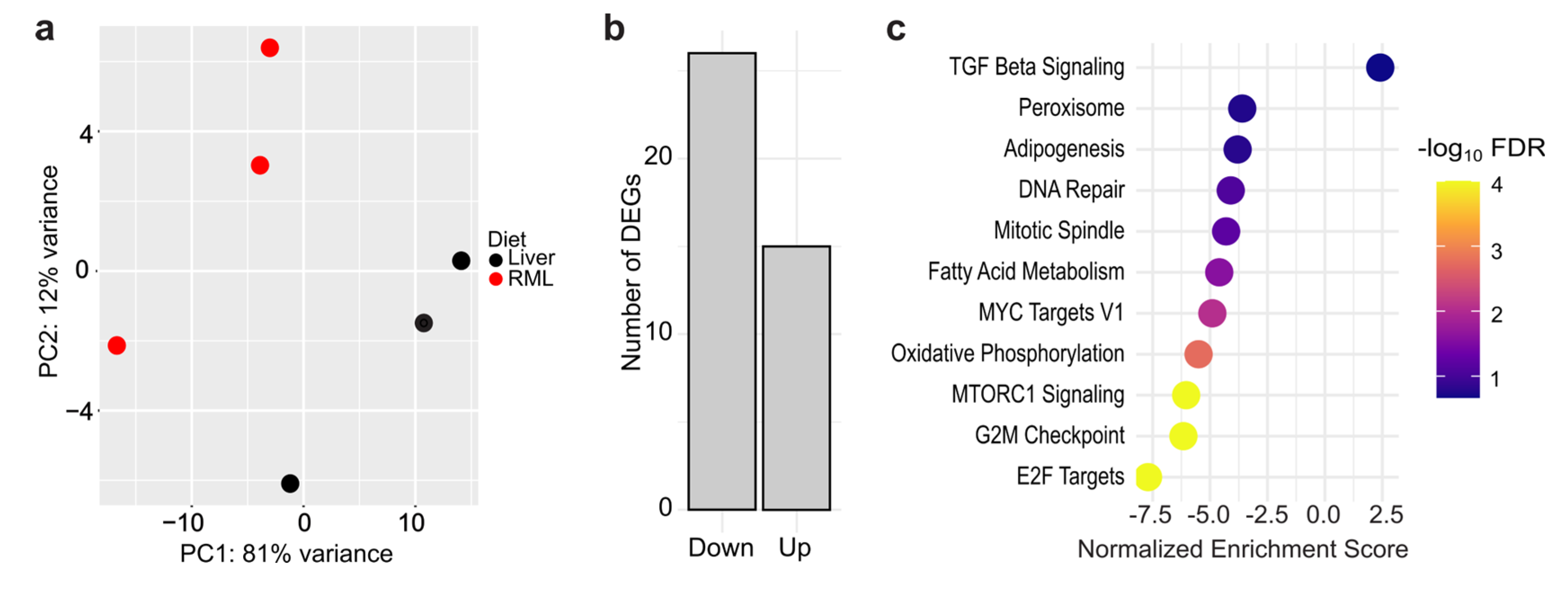 Preprints 184045 g002