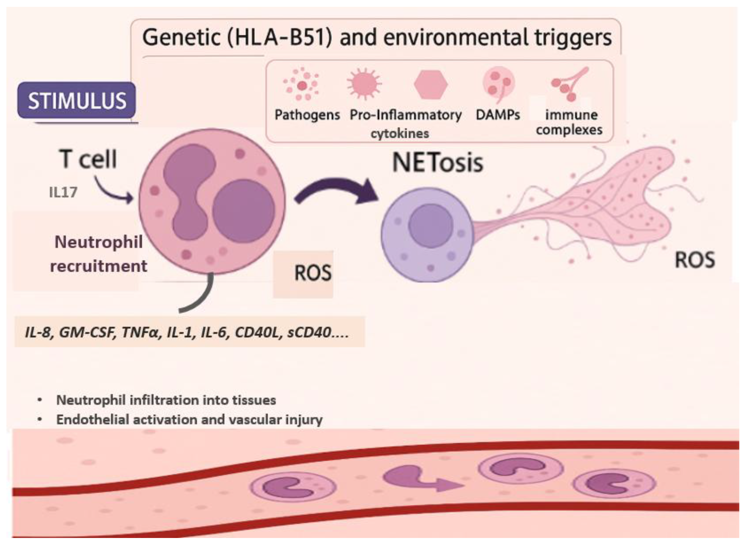 Preprints 167573 g001