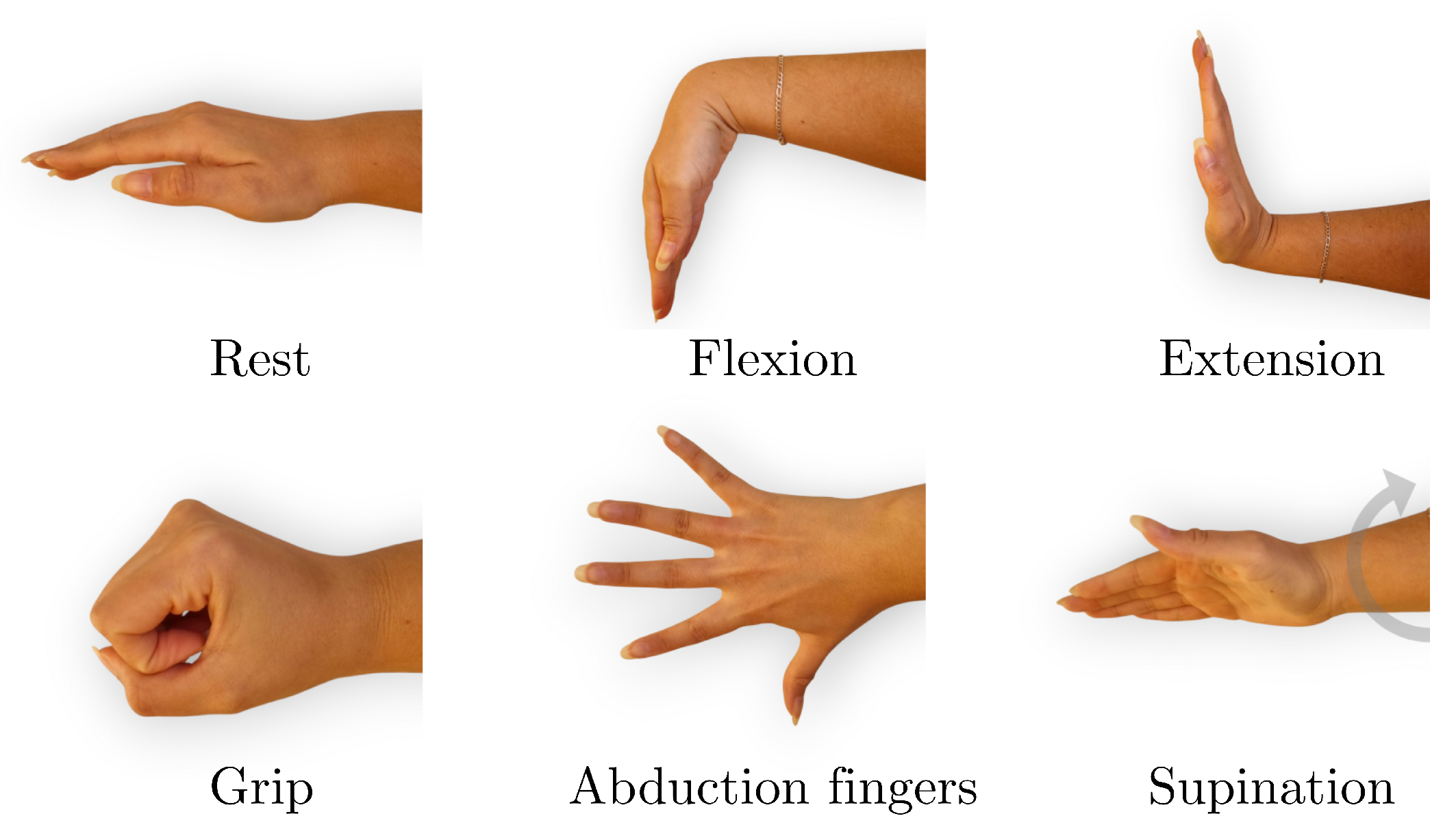 Preprints 158445 g001