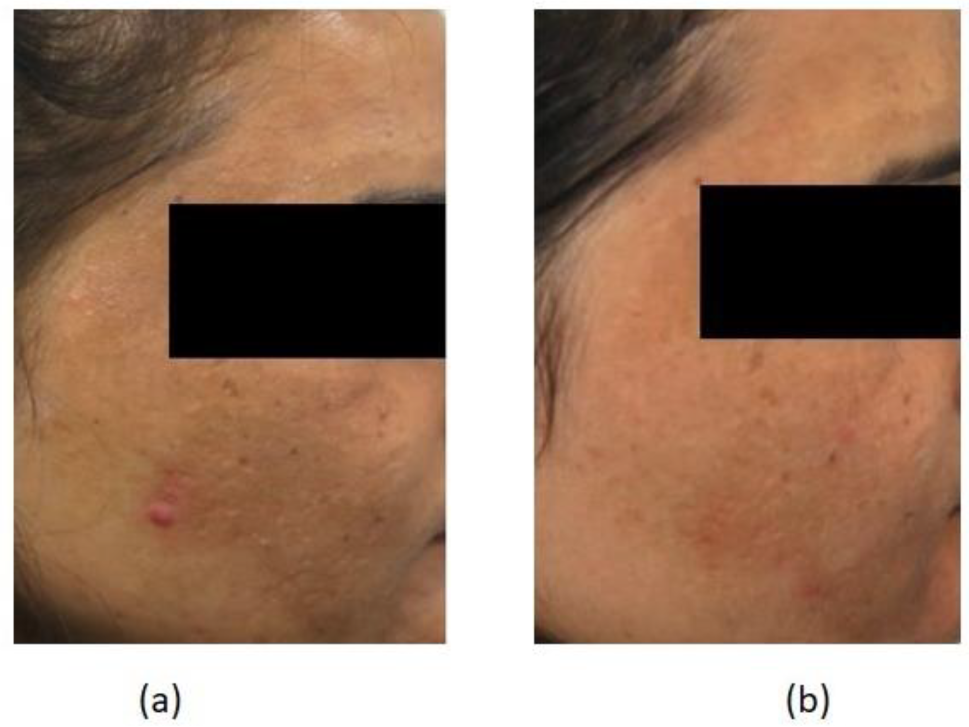 Preprints 86497 g001