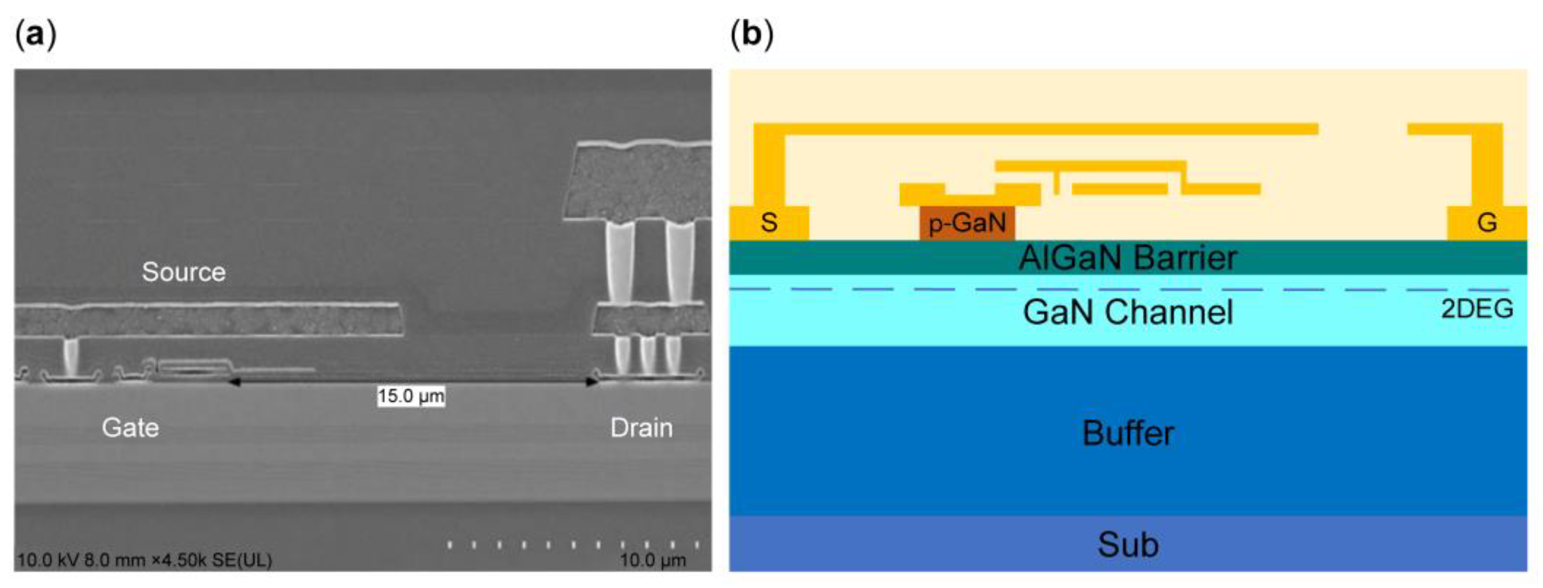 Preprints 153784 g001