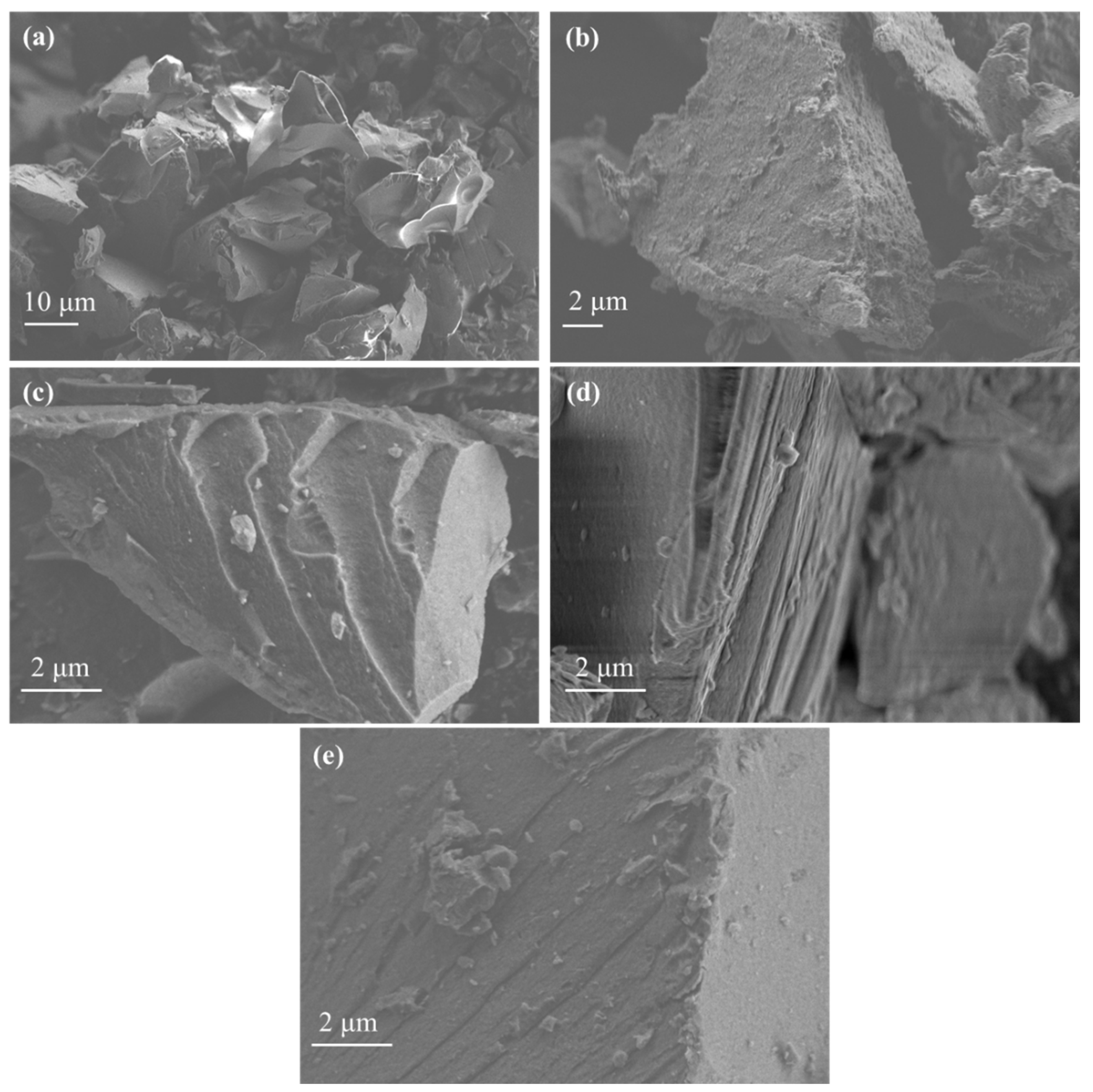 Preprints 165020 g003
