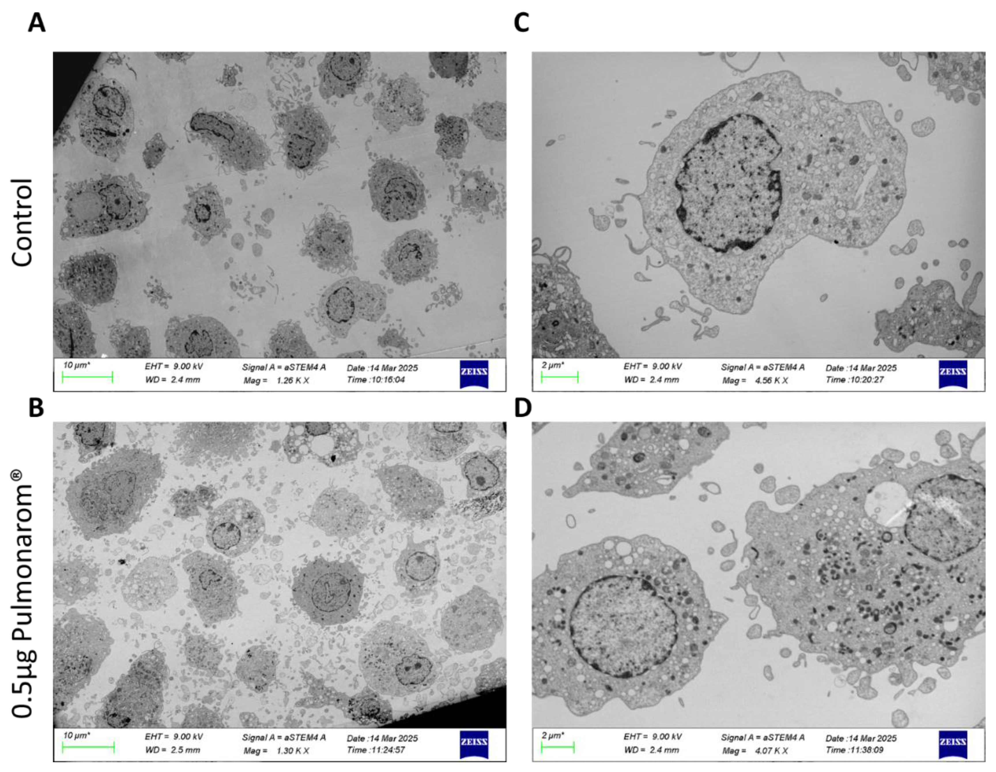 Preprints 156898 g001