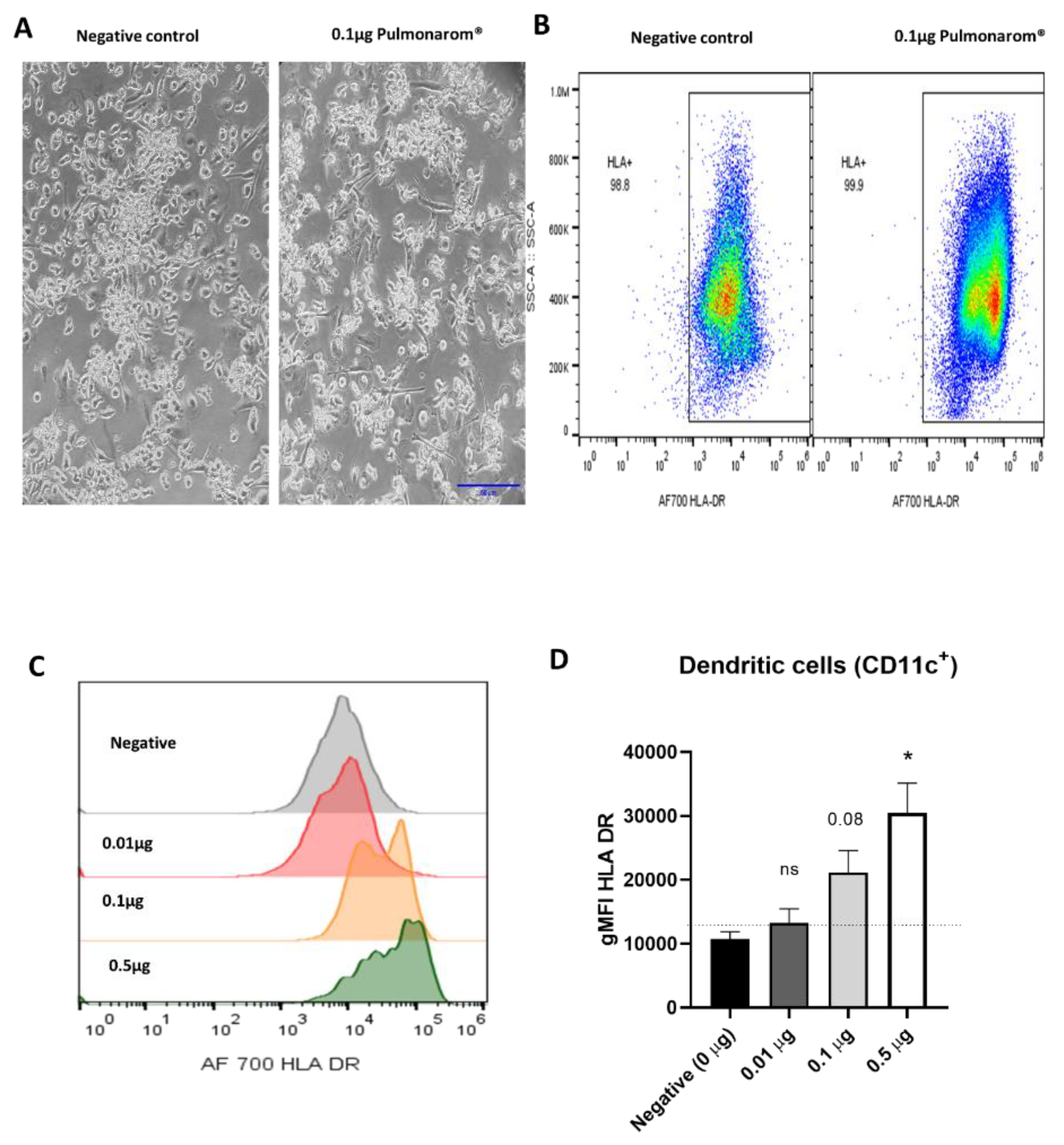 Preprints 156898 g002